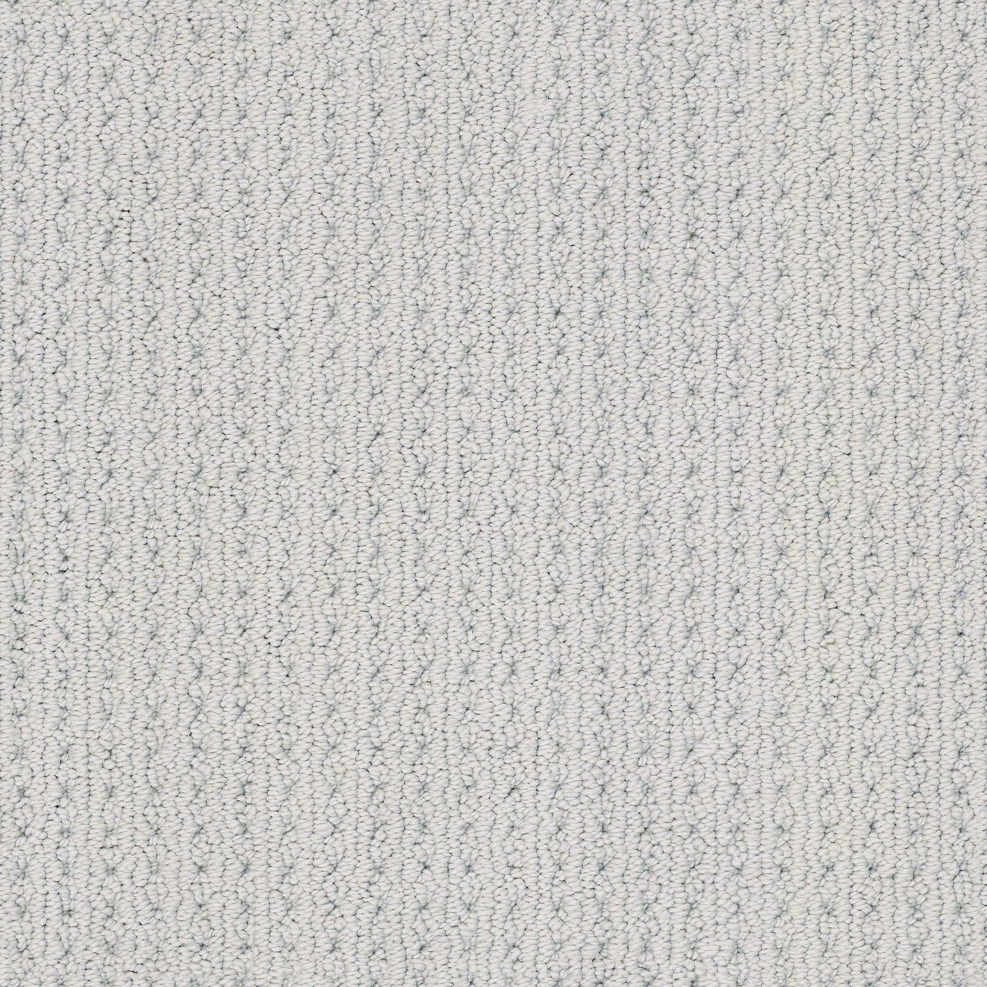 STAINMASTER 7L874 - 540 - SAMP (Sample) Revitalized Lullaby Gray 34.1-oz sq yard Polyester Textured Indoor Carpet