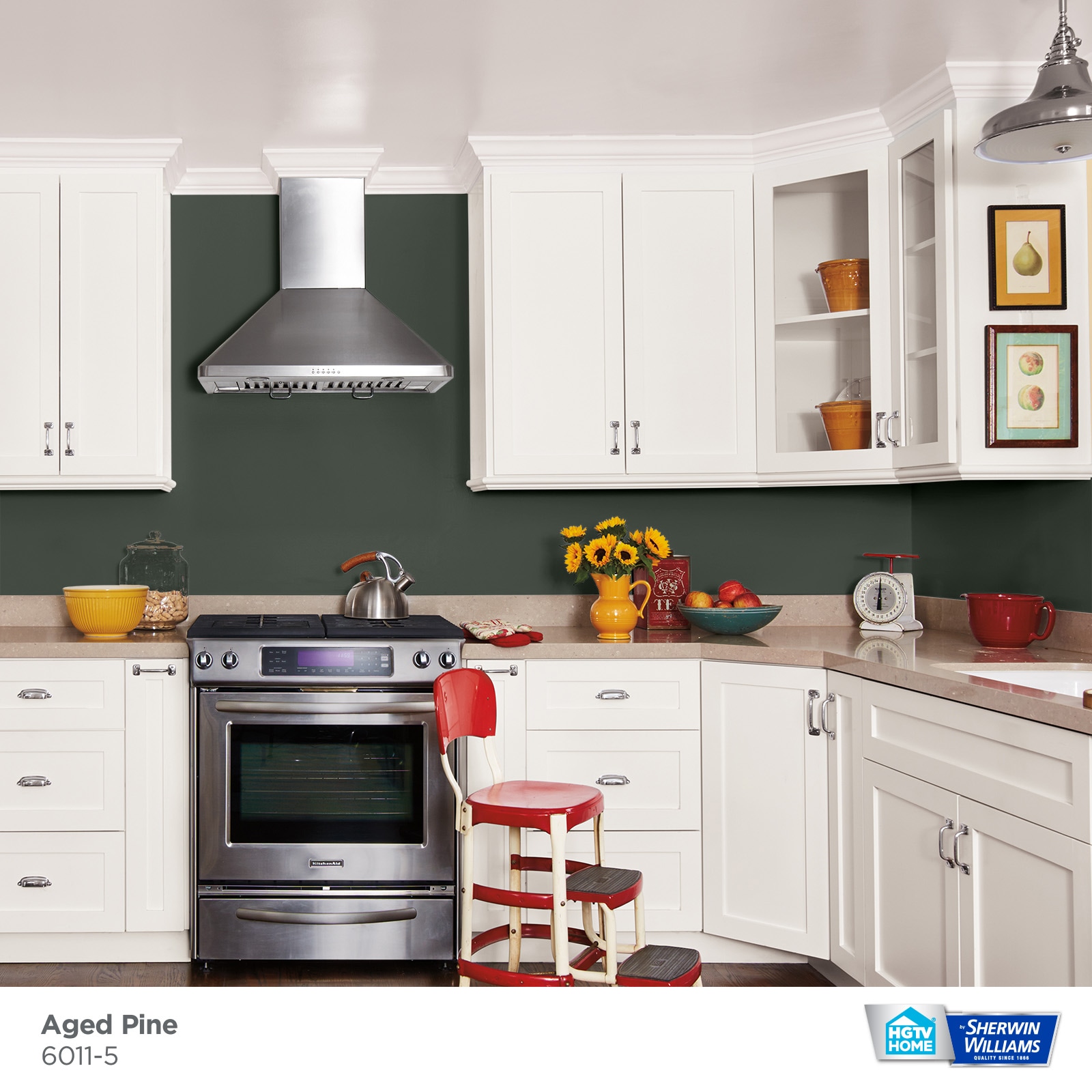 HGTV HOME by Sherwin-Williams 6011-5-935230 Int-Ext-Paint - View #2