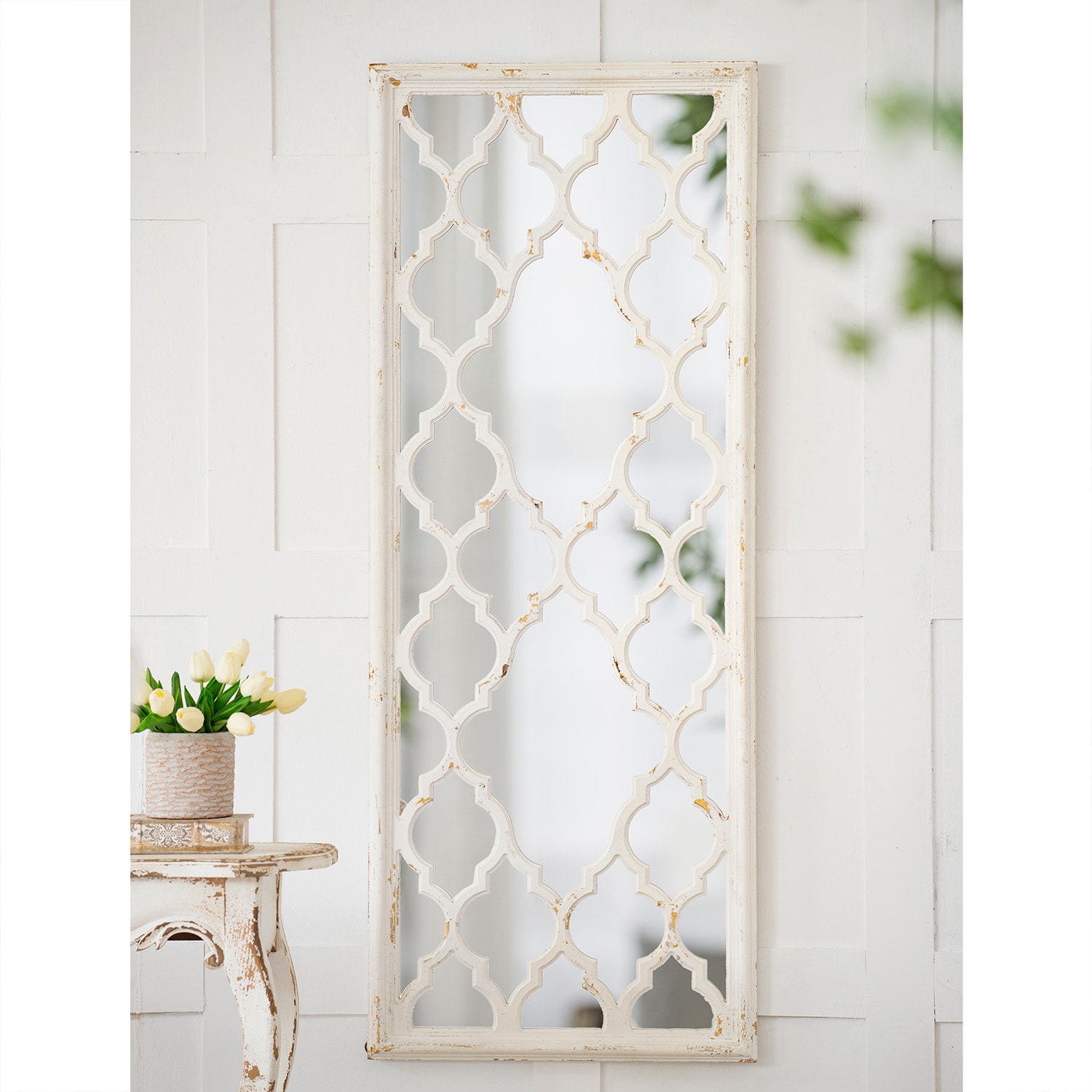 ToolCat SF1-45-YT 23.6-Inches W x 59.4-Inches H Rectangle White Framed Full Length Vanity Mirror