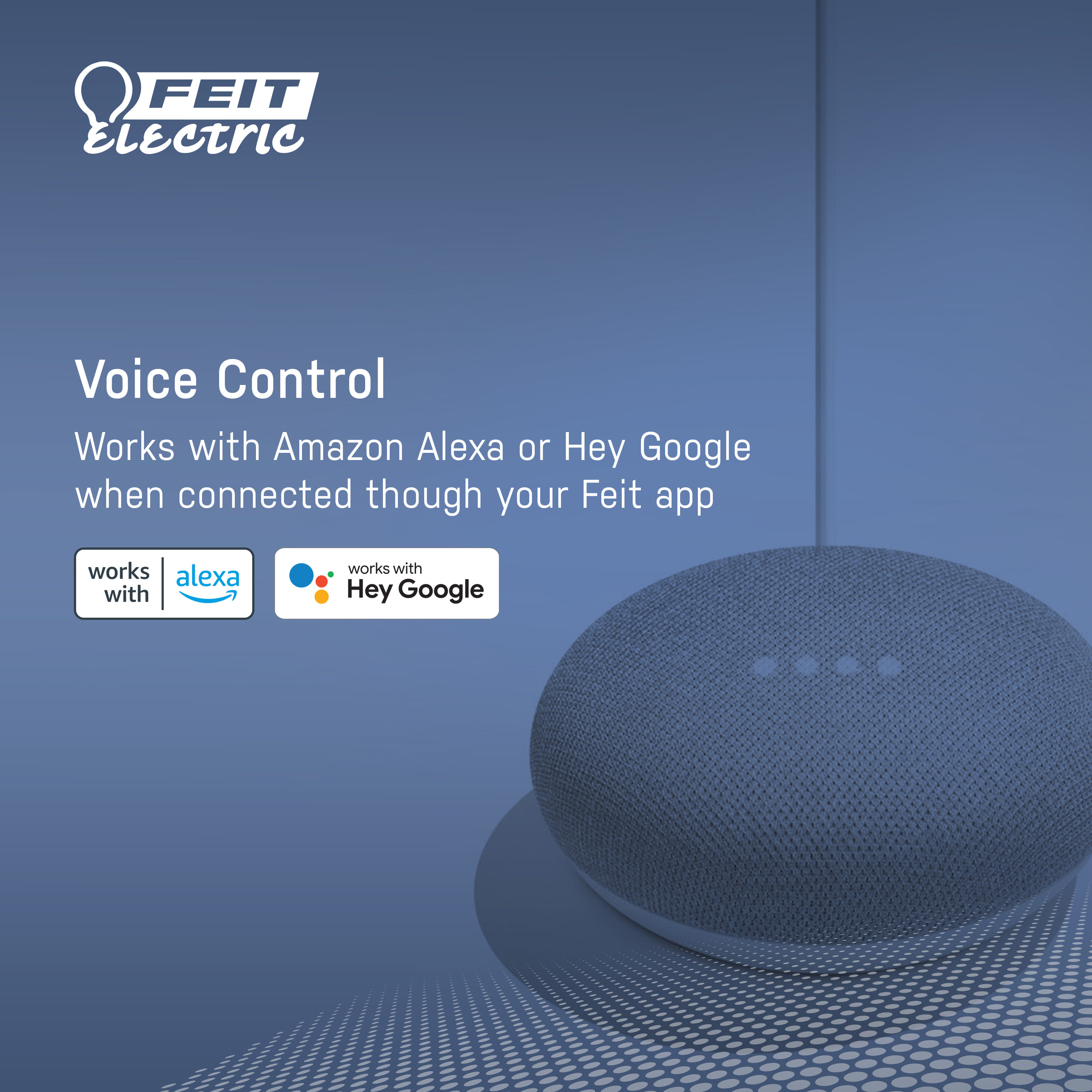 Feit Electric 15 Amp Outdoor Alexa Google Assistant Compatible