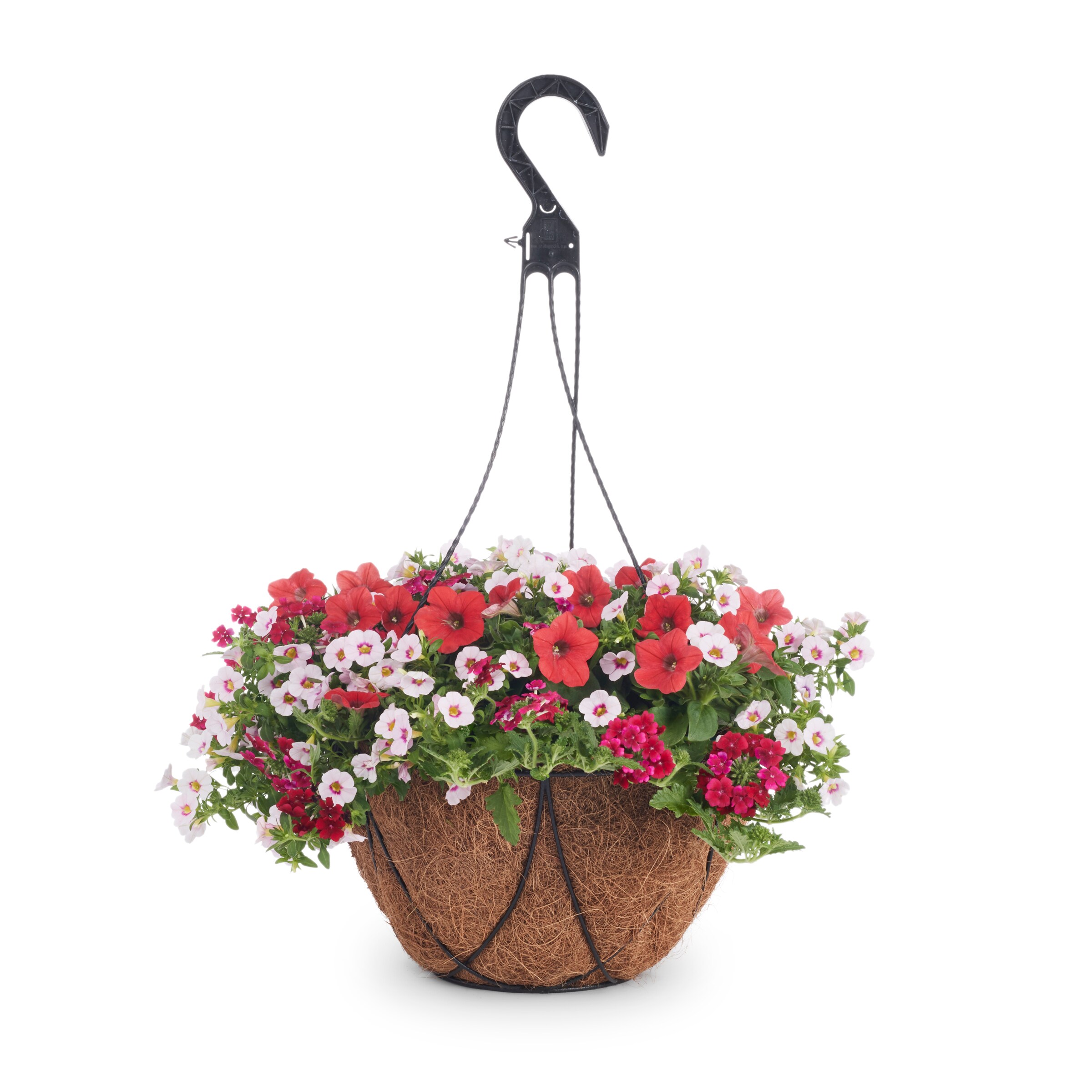 Lowe S Multicolor Mixed Annuals Combinations Hanging Basket In The   07804121 