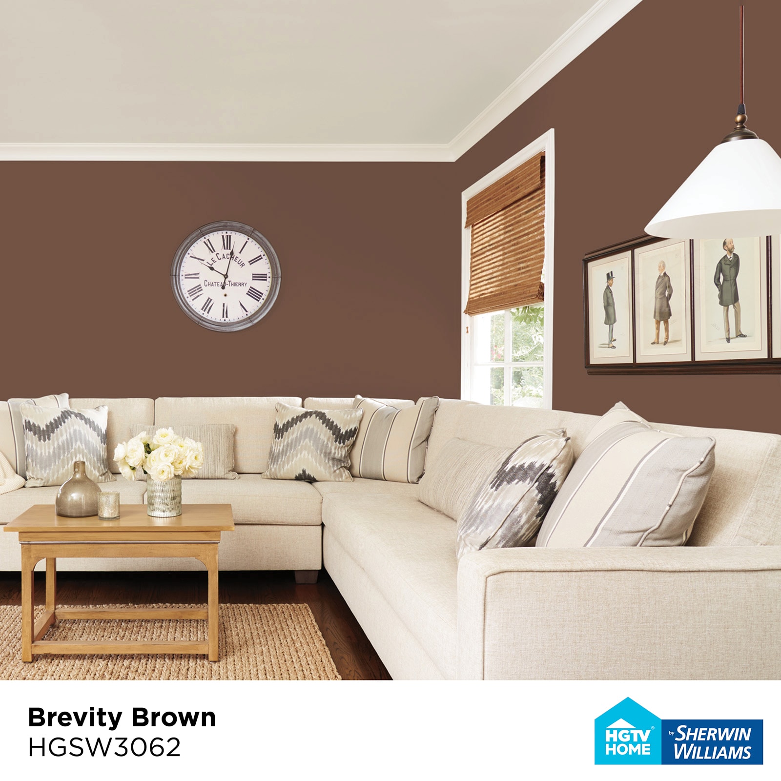 brevity brown sherwin williams