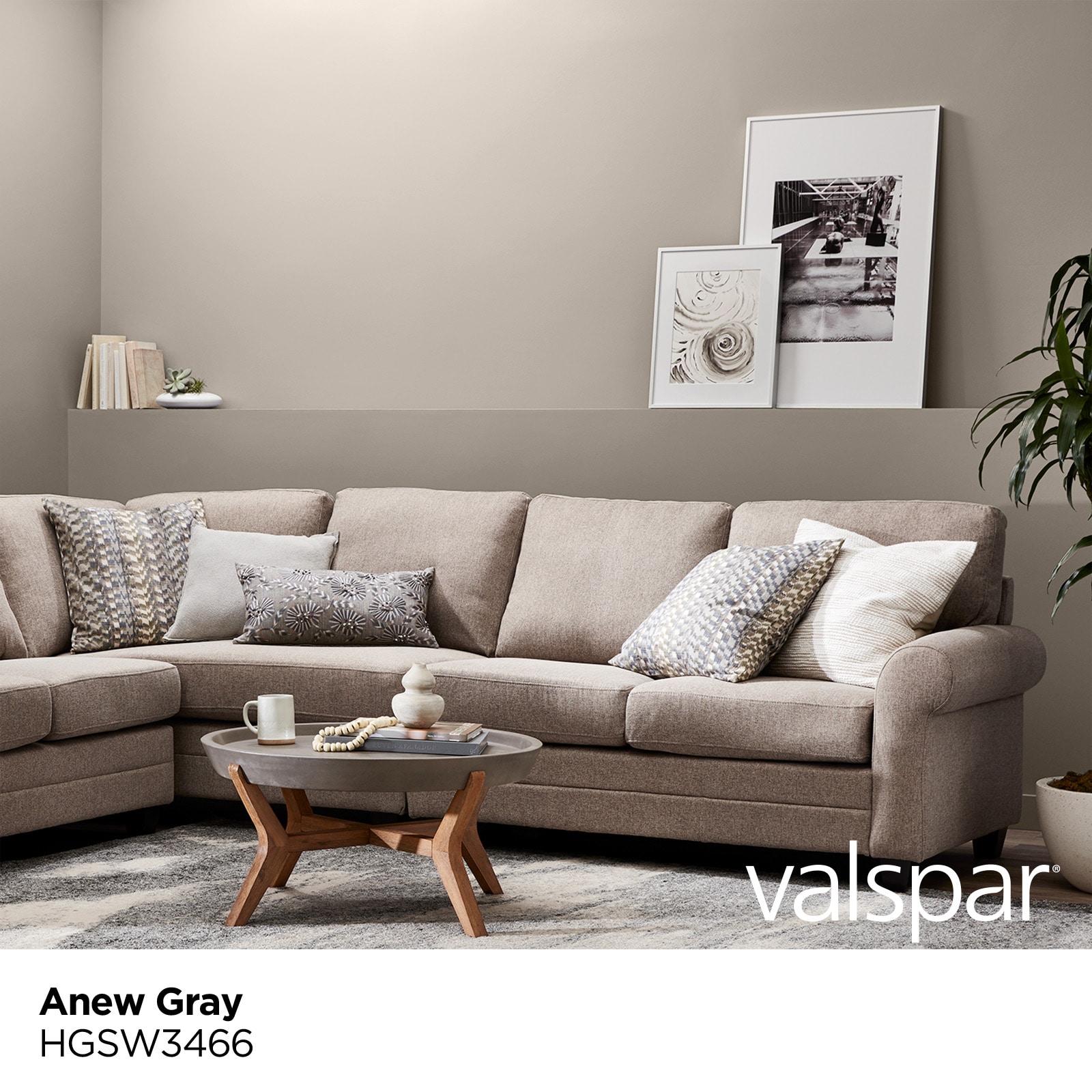 HGTV HOME by Sherwin-Williams HGSW3466 Paint-Samples - View #3