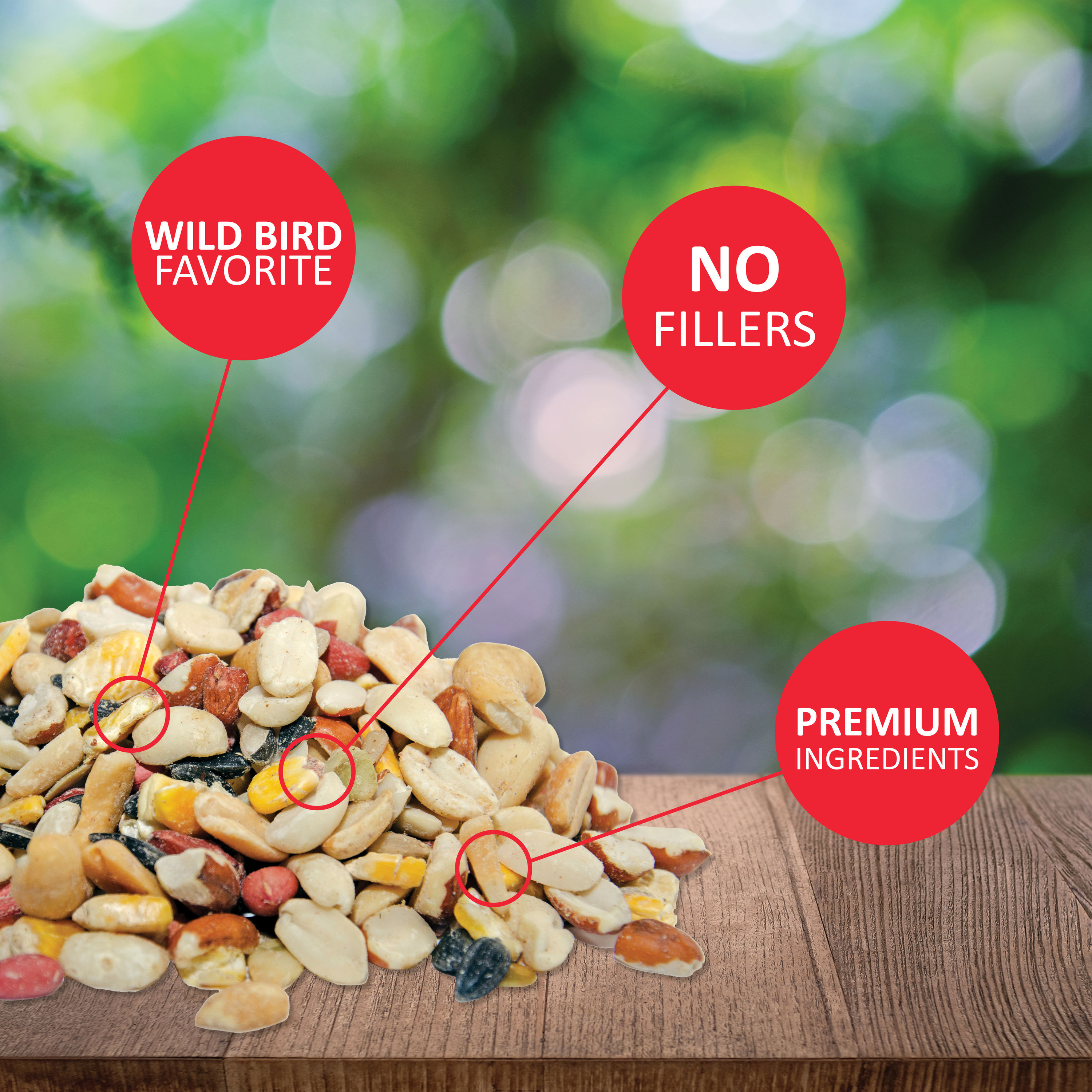 Lyric 2647346 Bird-Squirrel-Food - View #2