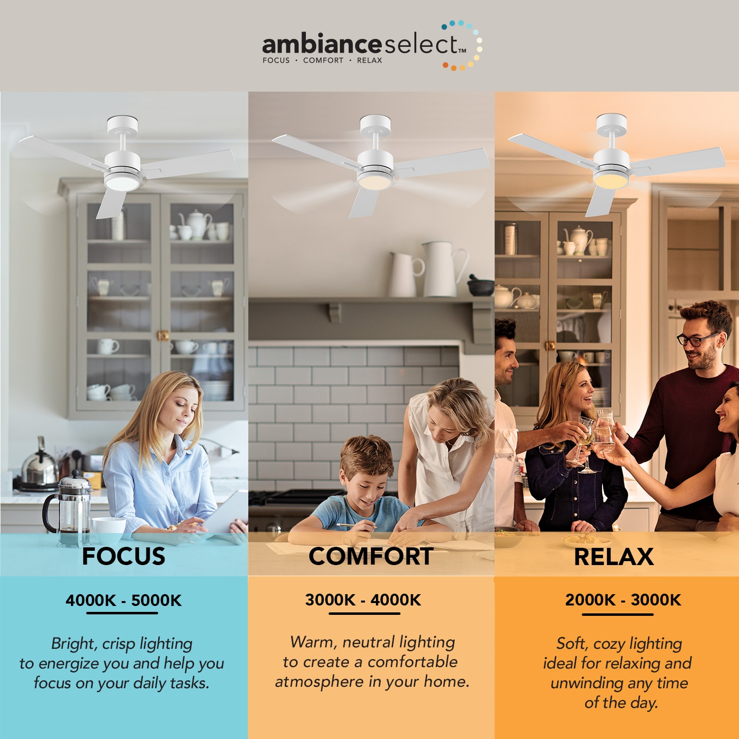 Globe Electric 91010779 Ceiling-Fans - View #9