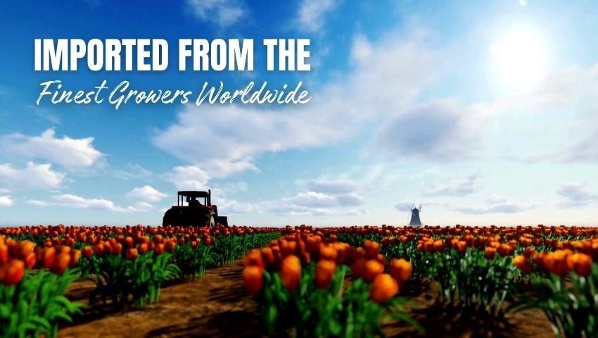 A thumbnail for the video