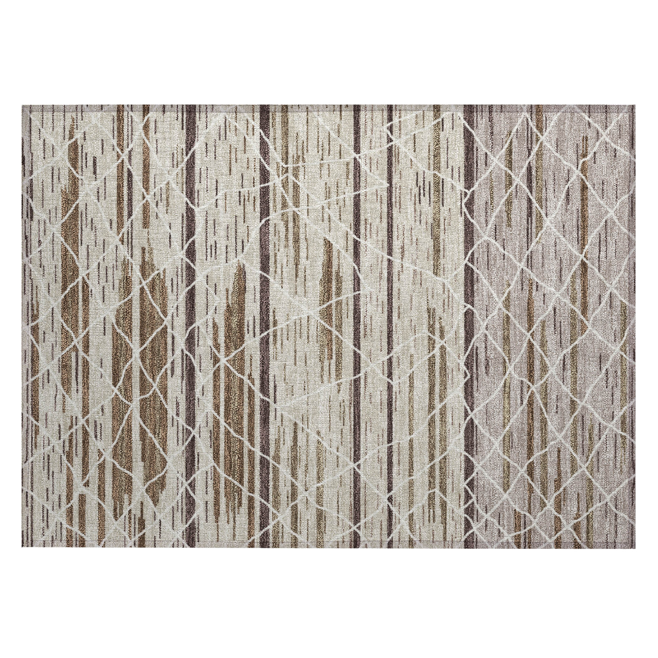 Addison Rugs ACN1025BG20X30 rugs - View #2