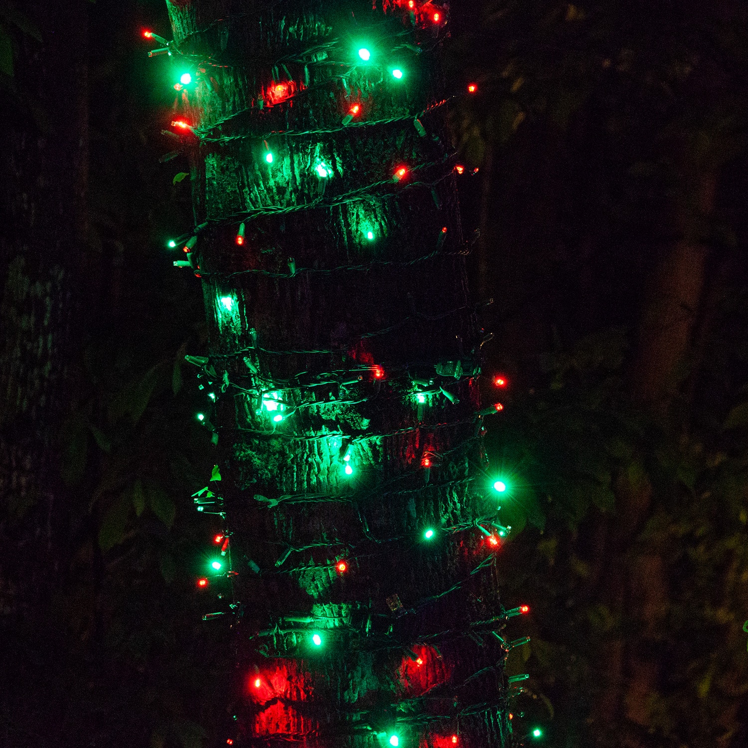 Wintergreen Lighting SoftTwinkle 50-Count 16.33-ft Twinkling Red/Green ...