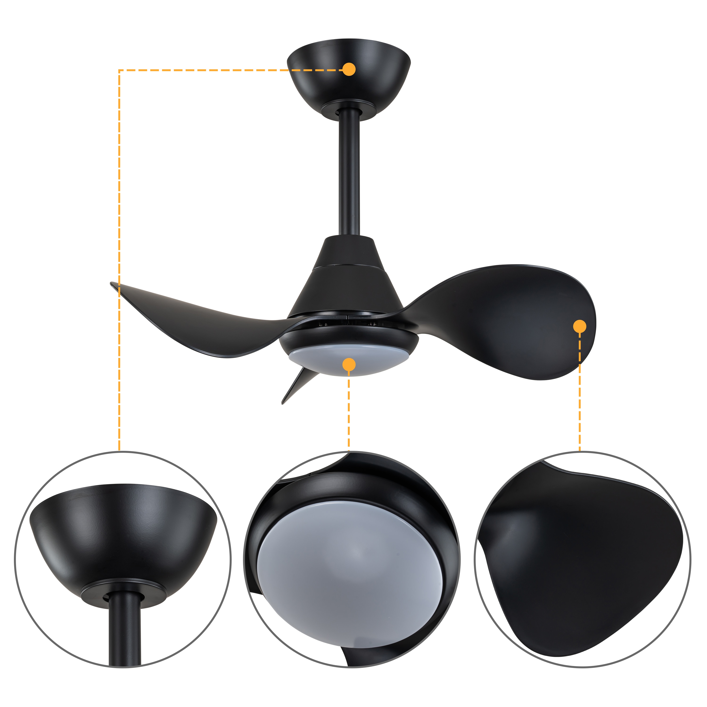 C Cattleya LCA2435-CF Ceiling-Fans - View #4
