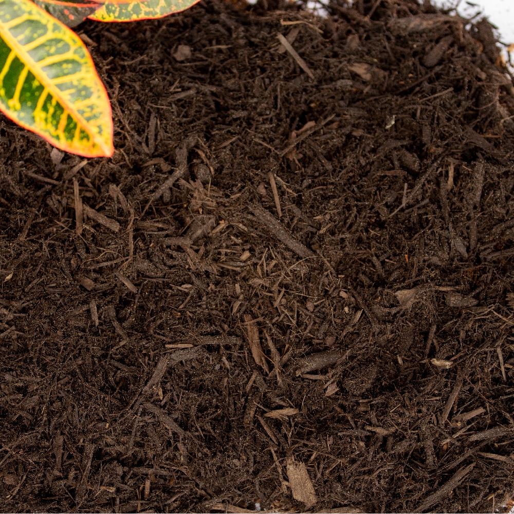  M0BROWN-A-5 Bulk-Mulch - View #2