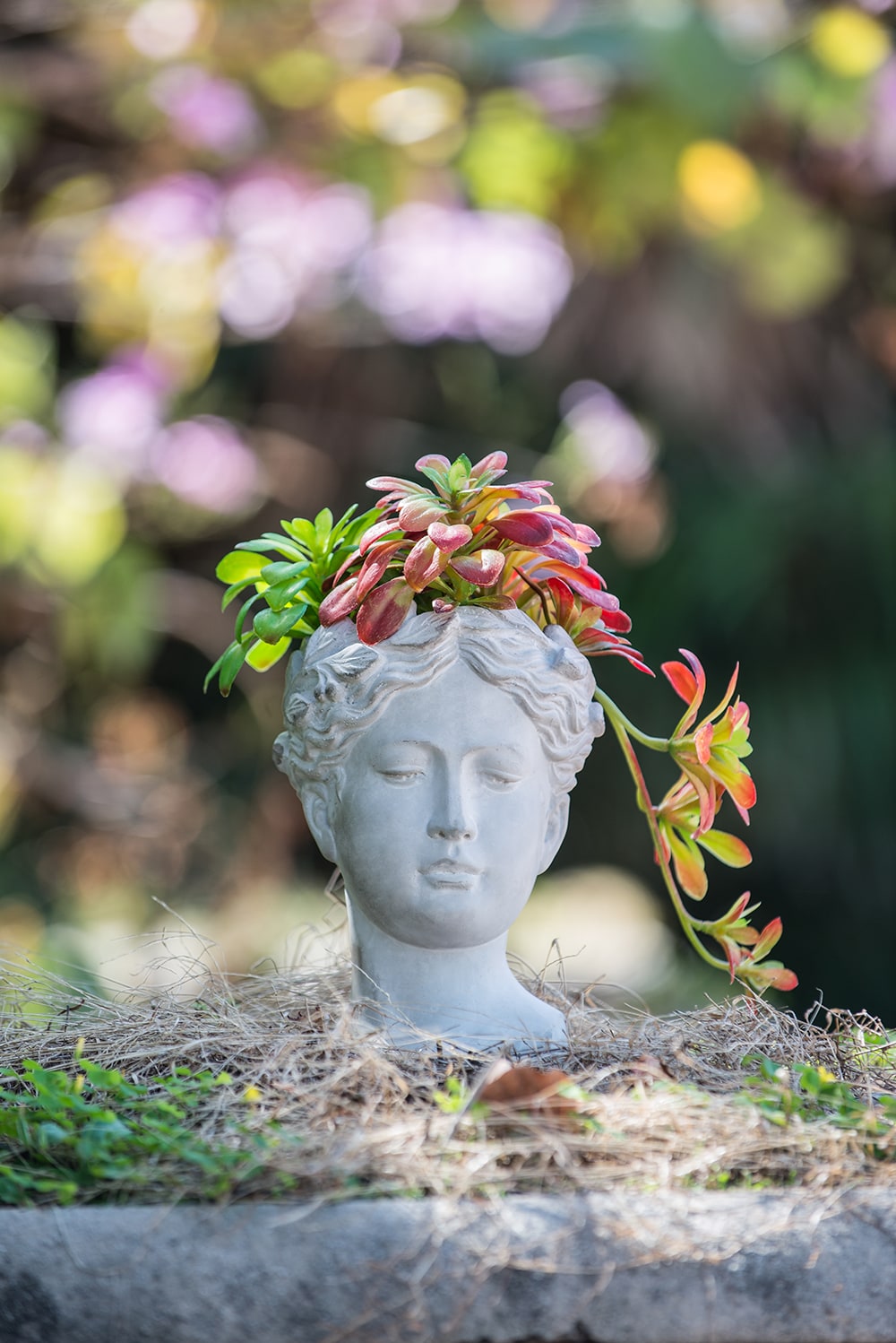 Siavonce XH31621 Planter-Window-Box - View #2