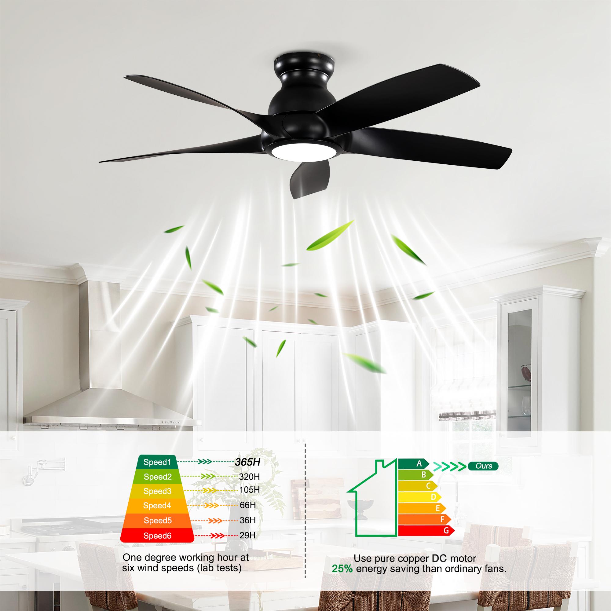 Bayfeve BF-384593-MP Ceiling-Fans - View #7