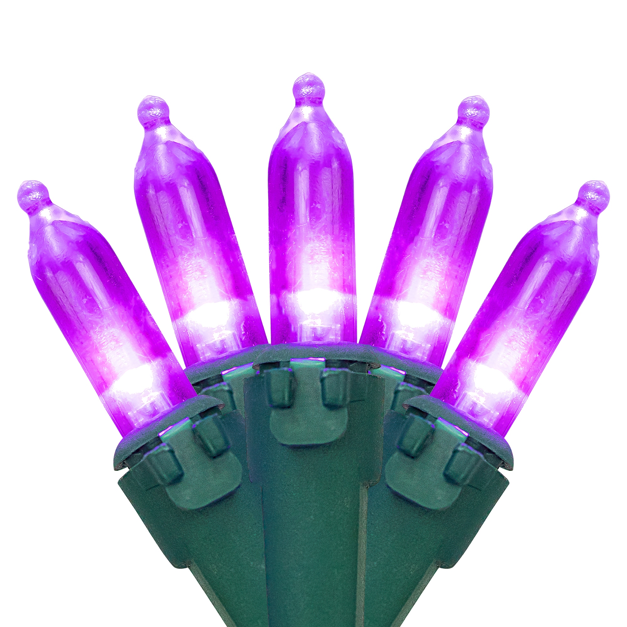 Northlight 32605398 100 -Count 33-ft Purple LED Plug-In Christmas String Lights