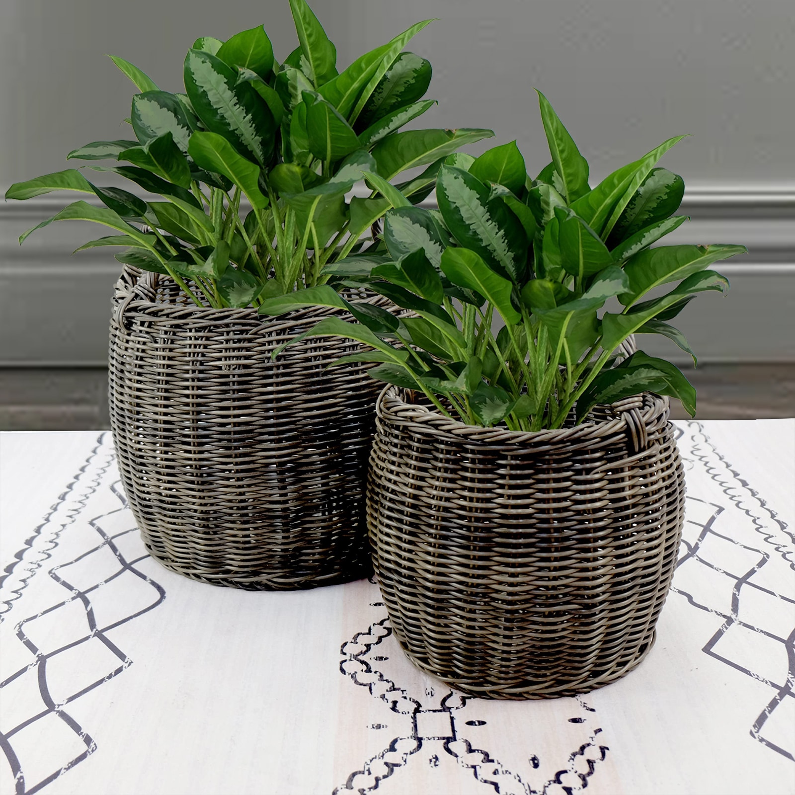 Siavonce XH44640 Planter-Window-Box - View #8