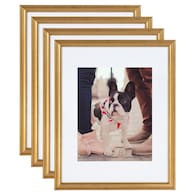 Picture Frames Color/Finish Family Gold