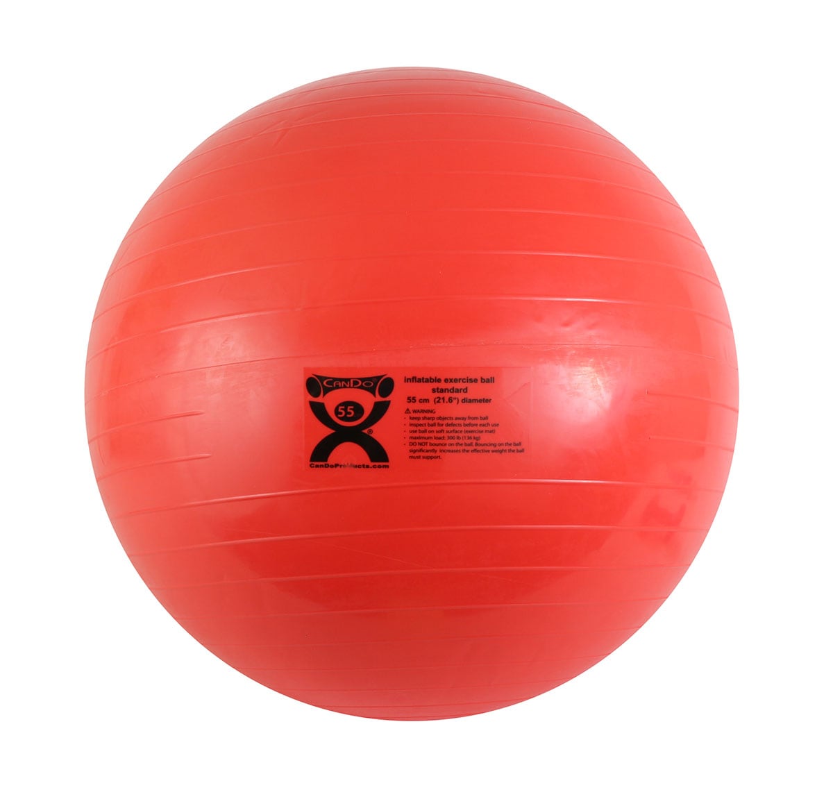 CanDo CanDo Inflatable Ball 55-cm Pilates Exercise in the Balls department at Lowes.com