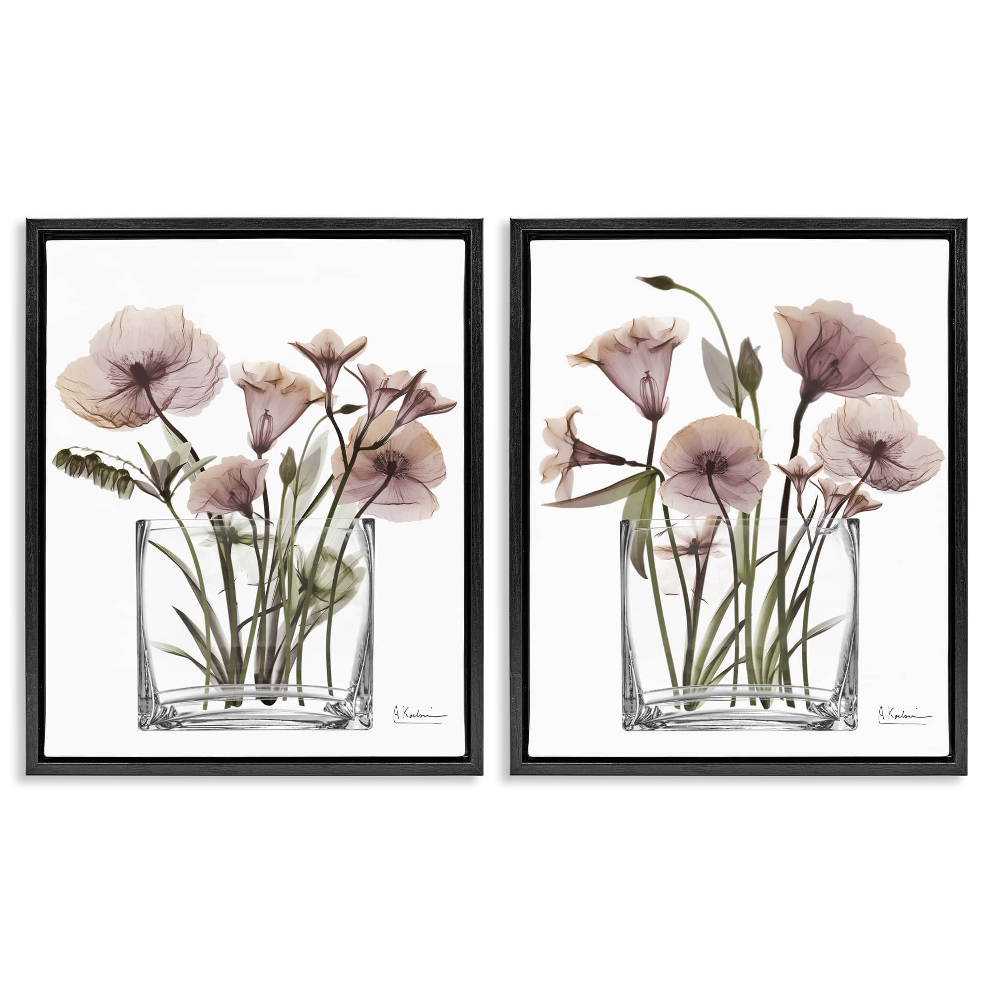 Stupell Industries B2-703-FFB-2PC-16X20 Earthy Infatuation Bouquet 2 Piece Black Framed Floater Canvas Set By Albert Koetsier 17 x 21