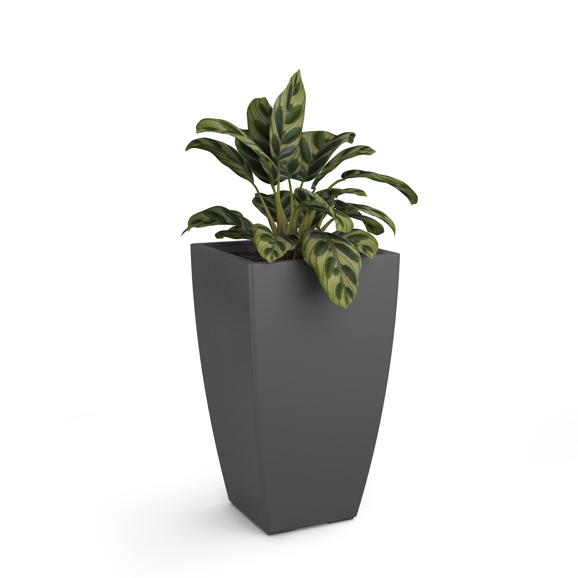 Mayne 8886-GRG Square 15.0-Inches W Medium Gray Plastic Contemporary/Modern Indoor/Outdoor Planter with Drainage Holes with Self Watering