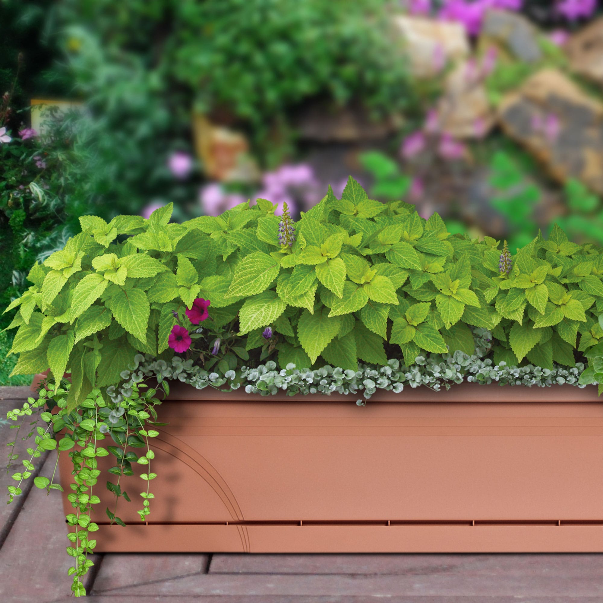 Southern Patio 317157 Planter-Window-Box - View #4