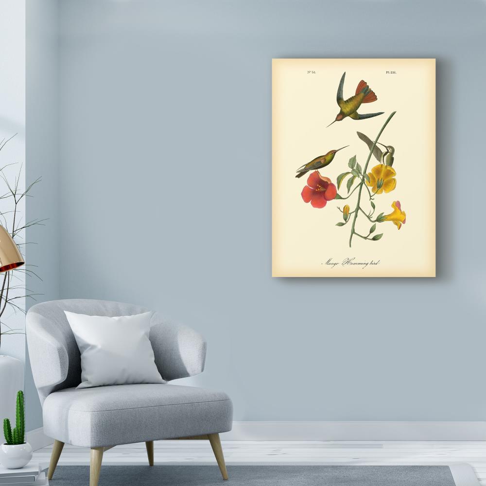 Trademark Fine Art Framed 32-in H x 24-in W Floral Print on Canvas at ...