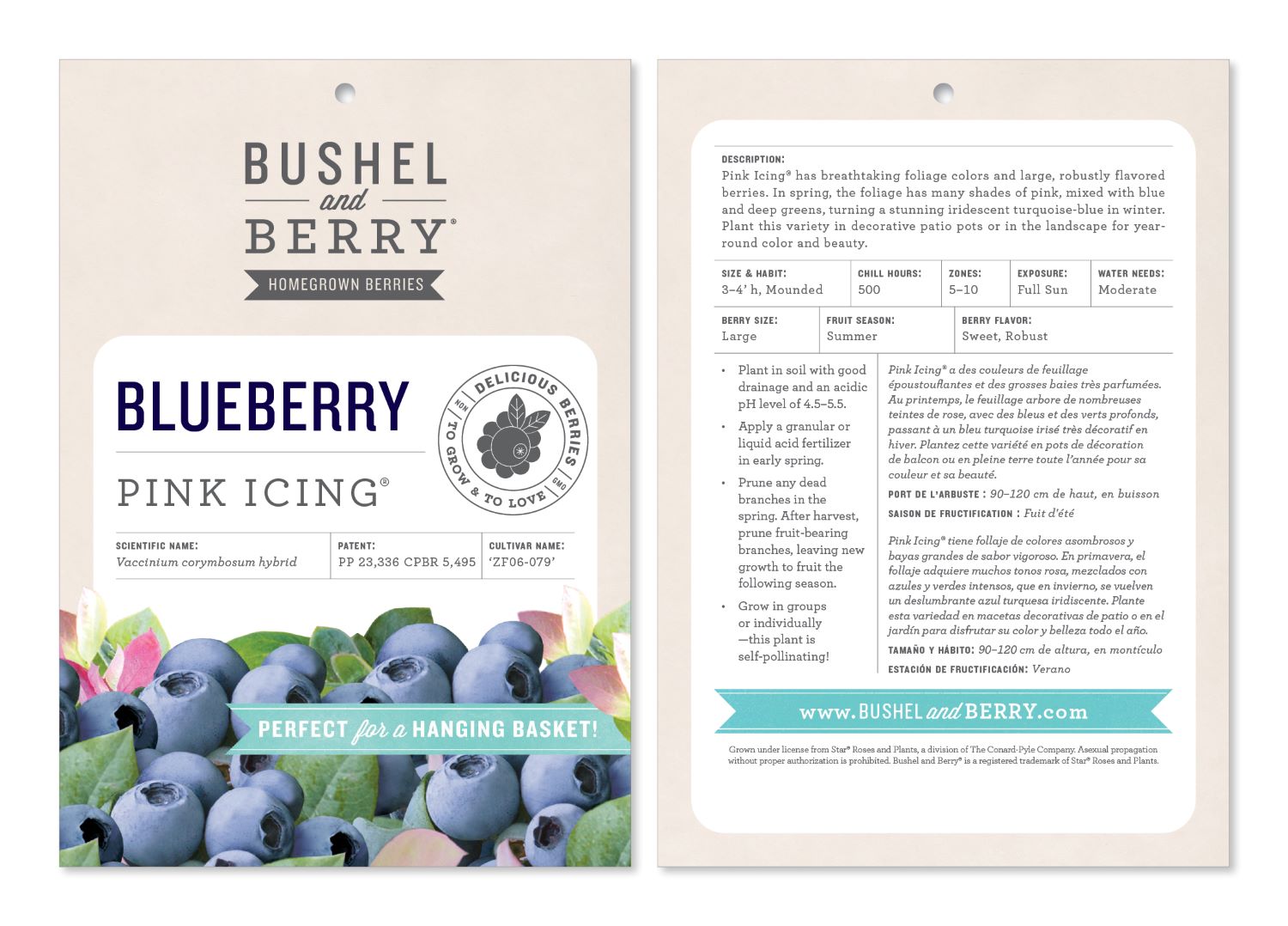 Bushel and Berry O892702 Fruit-Plants - View #2