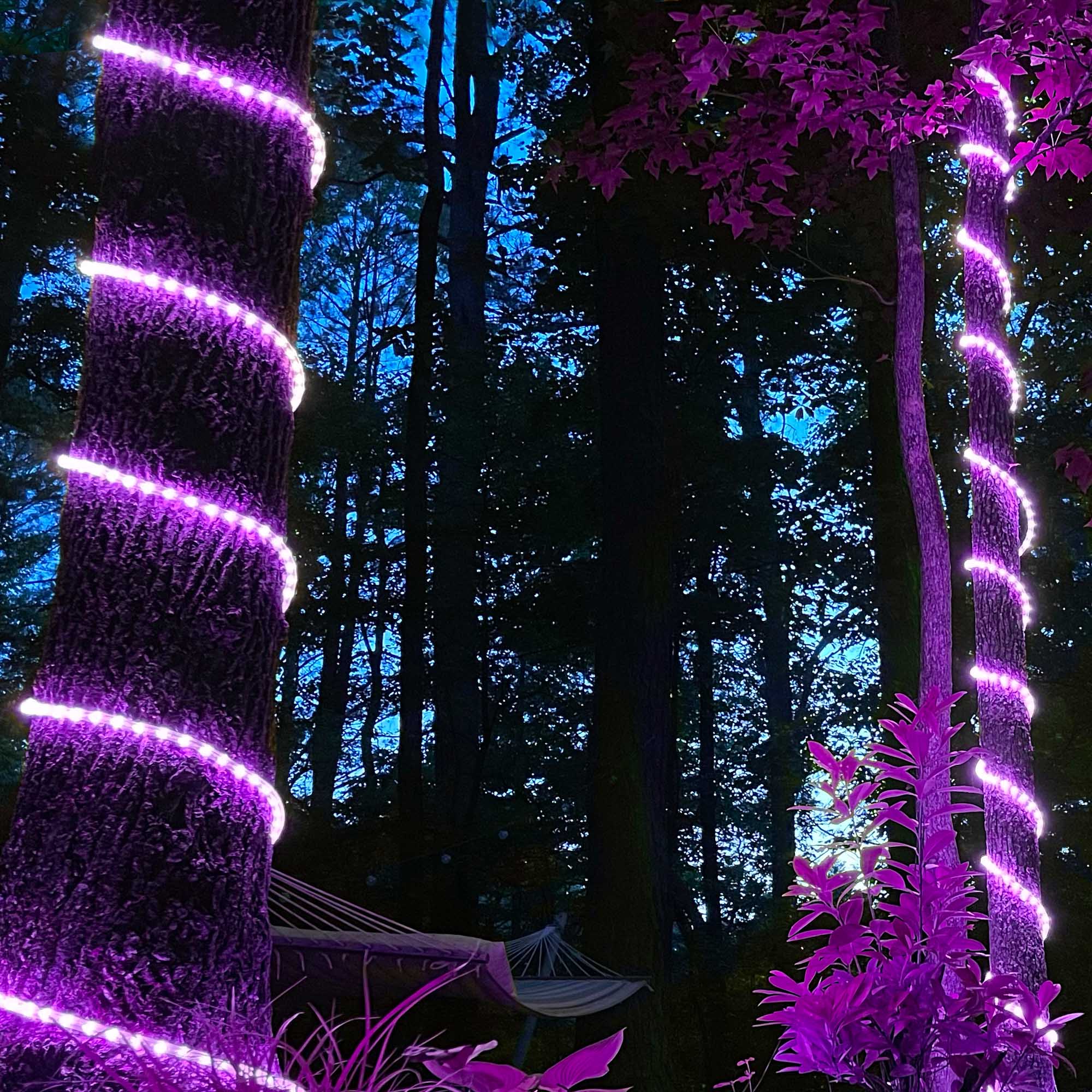 Wintergreen Lighting 80352 Christmas-Rope-Lights - View #3