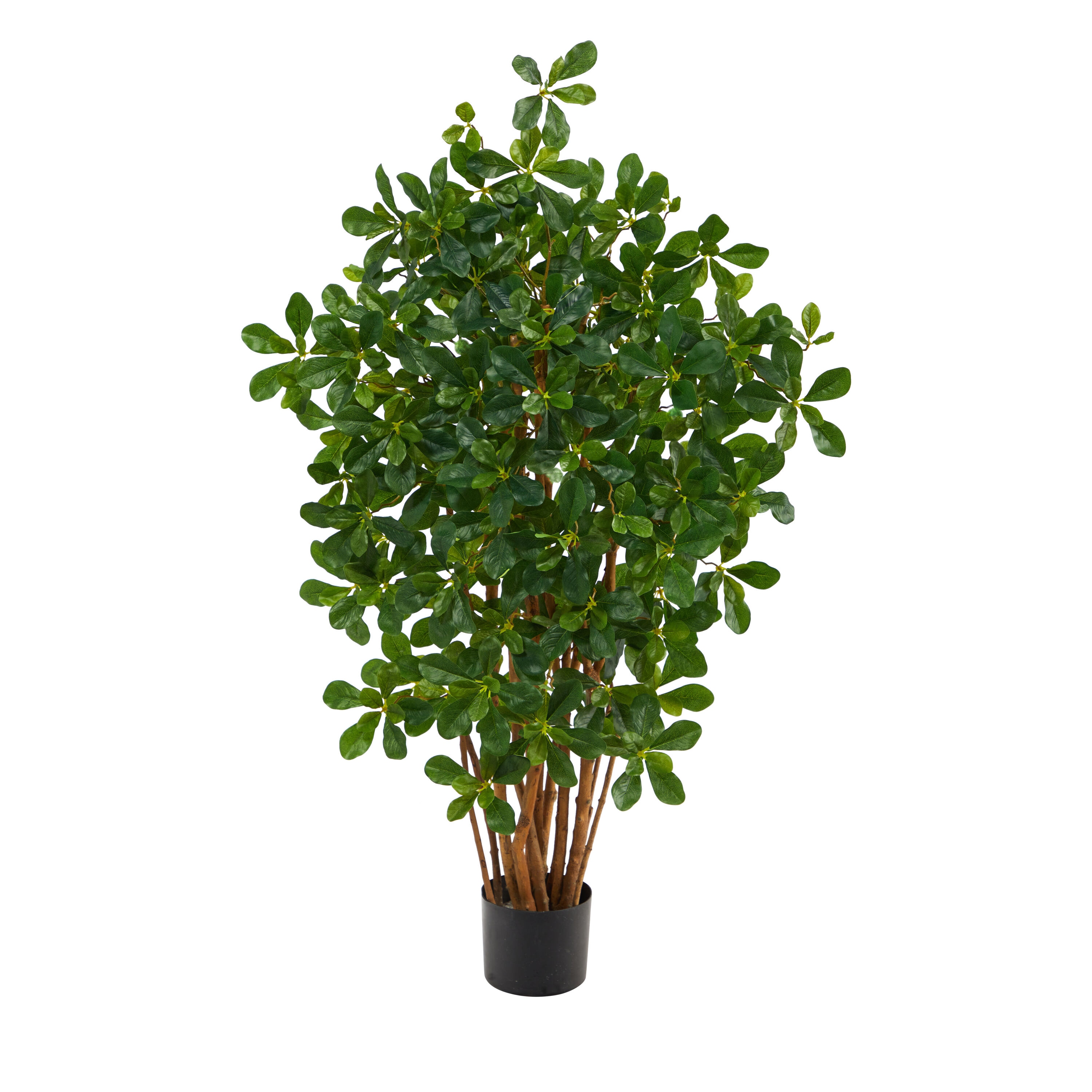  3.5-ft Black Olive Artificial Tree