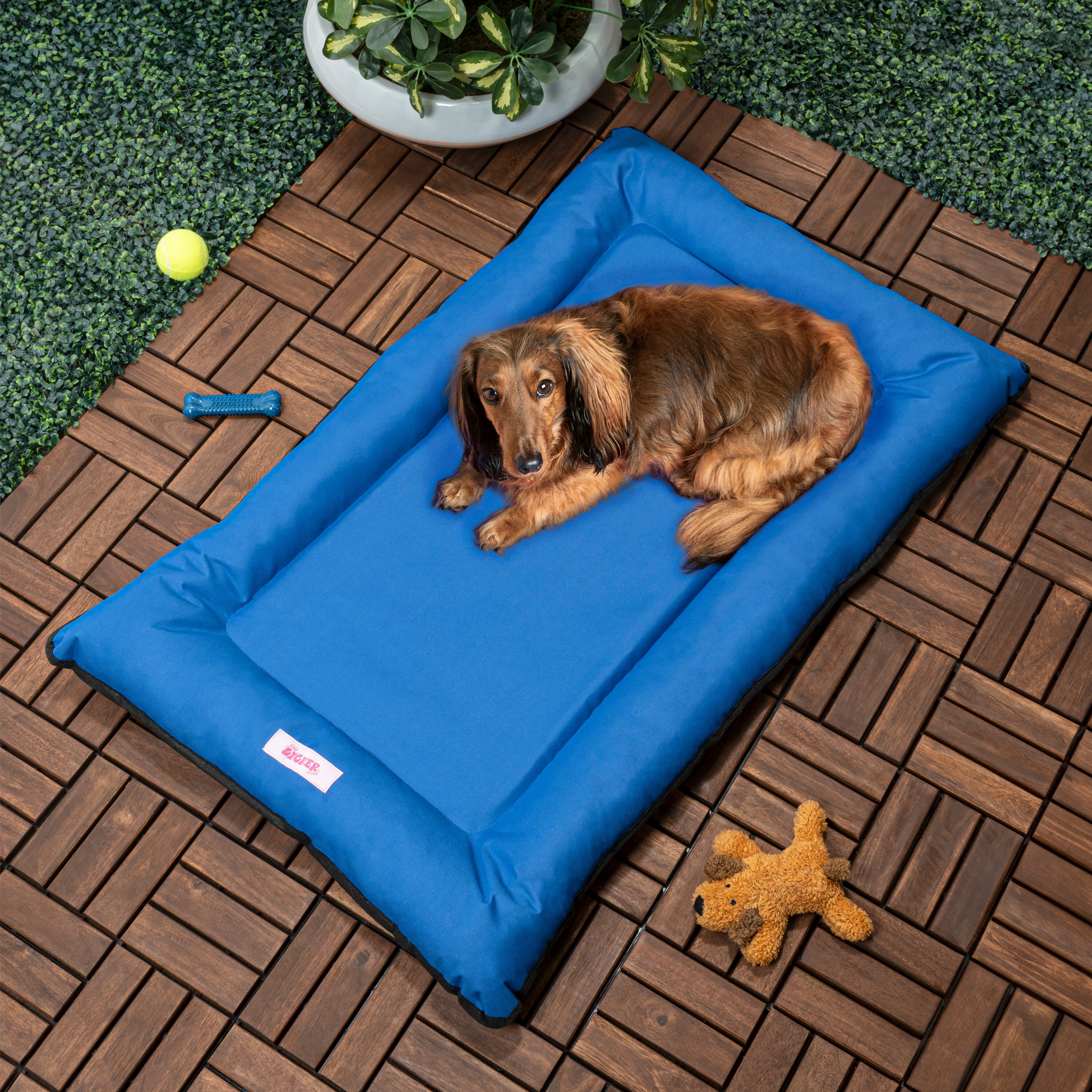 The Licker Store DBD3004D-M Pet-Beds - View #2