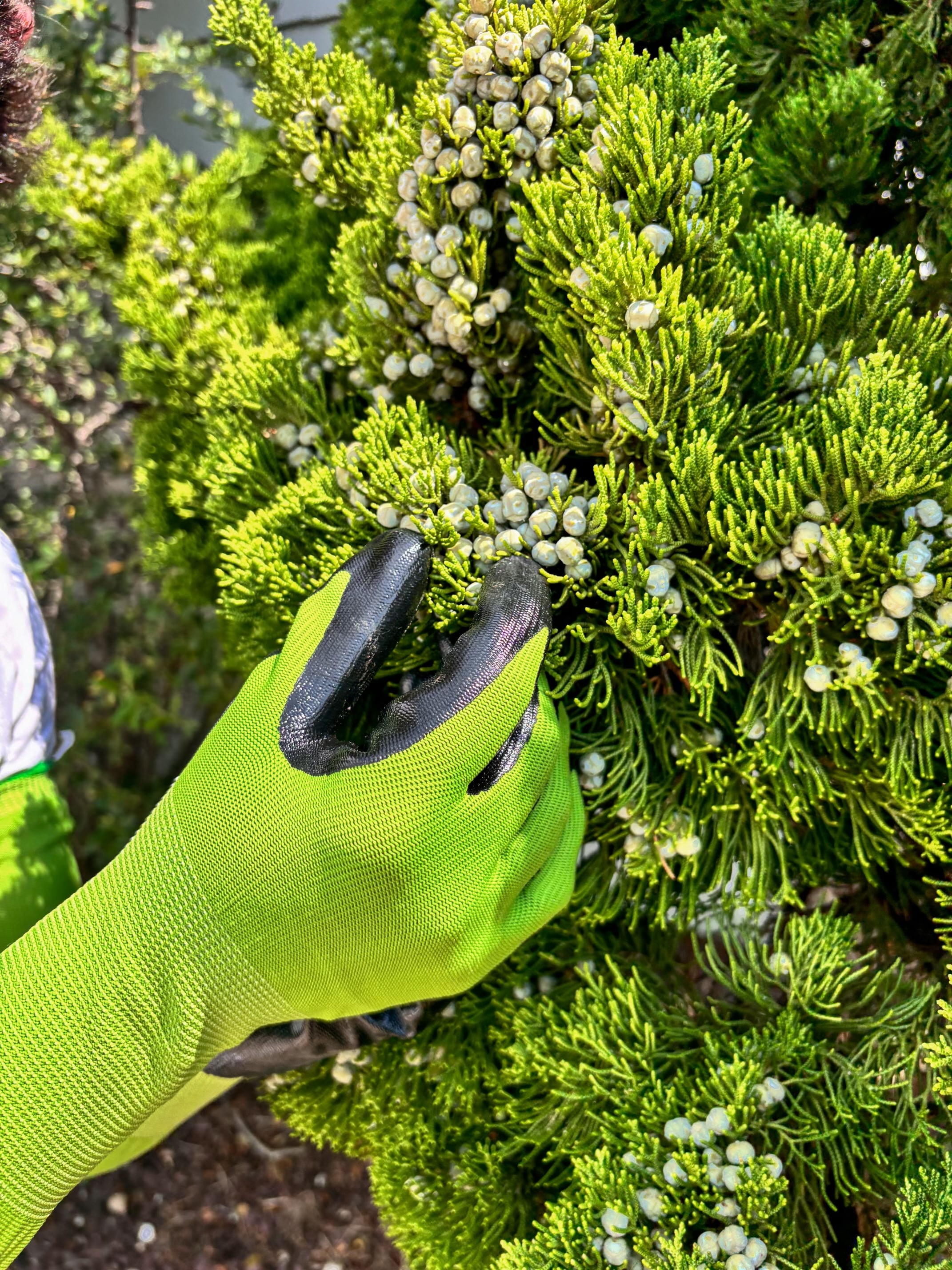 CHARGUY 7 Work-Gloves - View #18