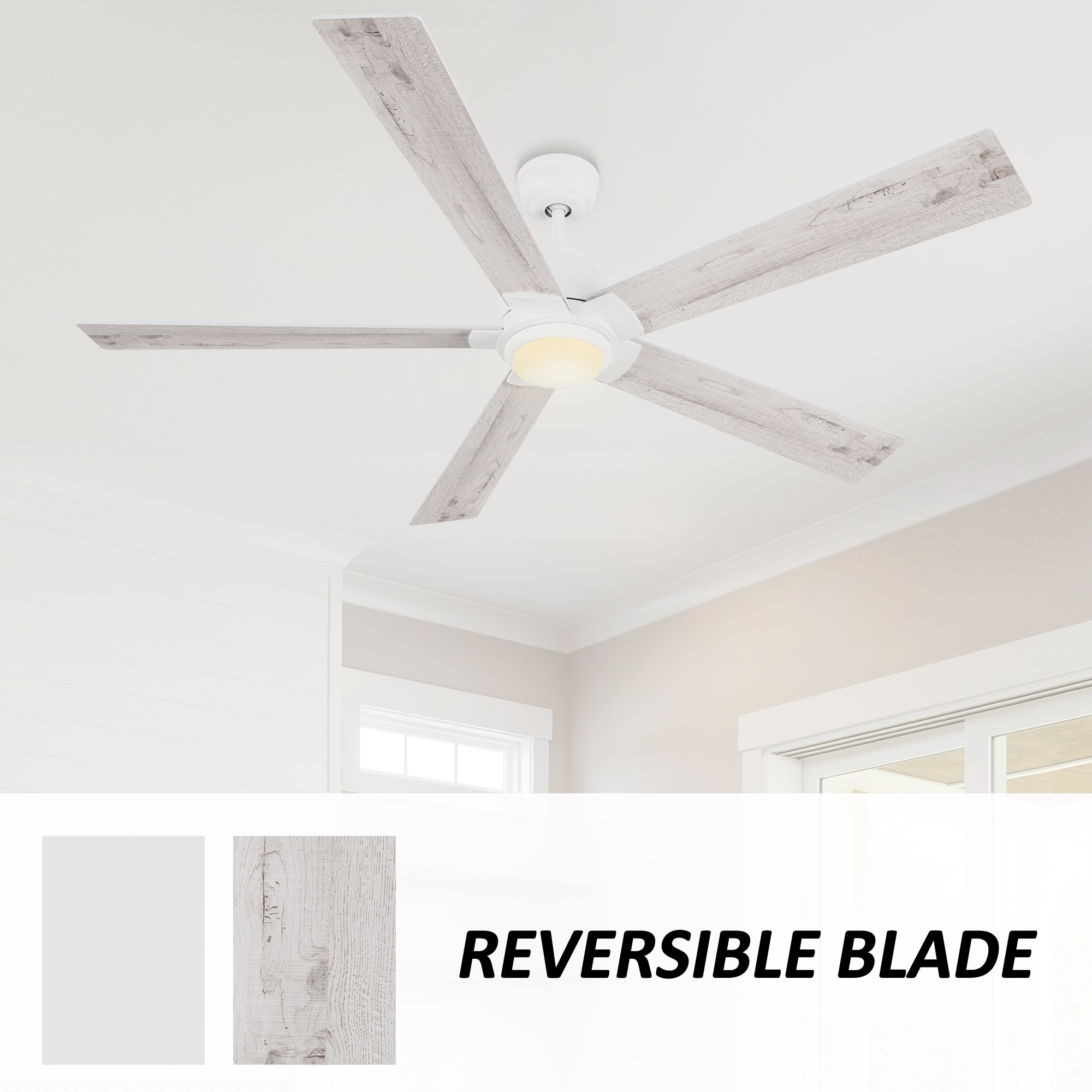 CARRO USA LCFR605J1-L11-WP-1 Ceiling-Fans - View #7