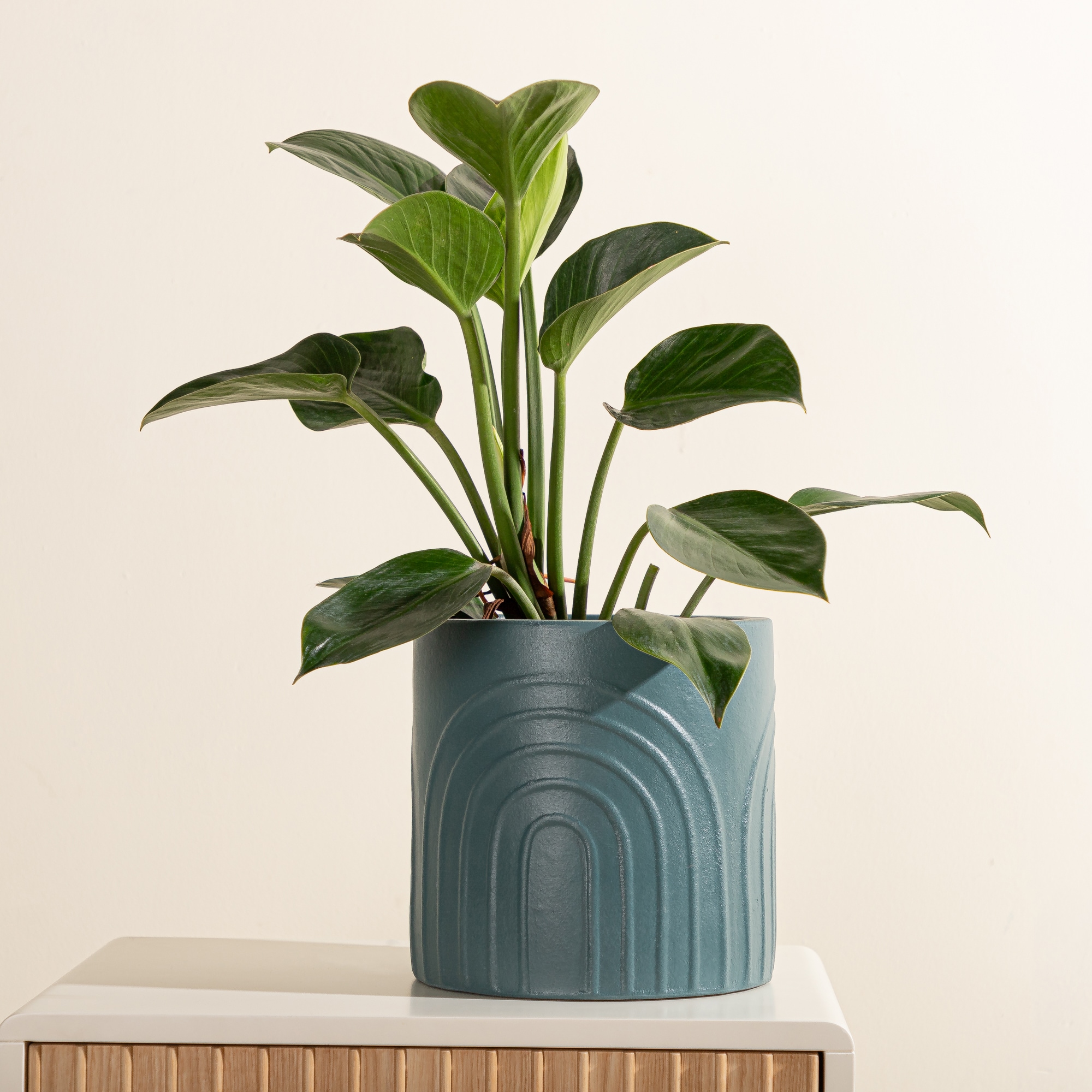Origin 21 LOW-26227817 Planter-Window-Box - View #12