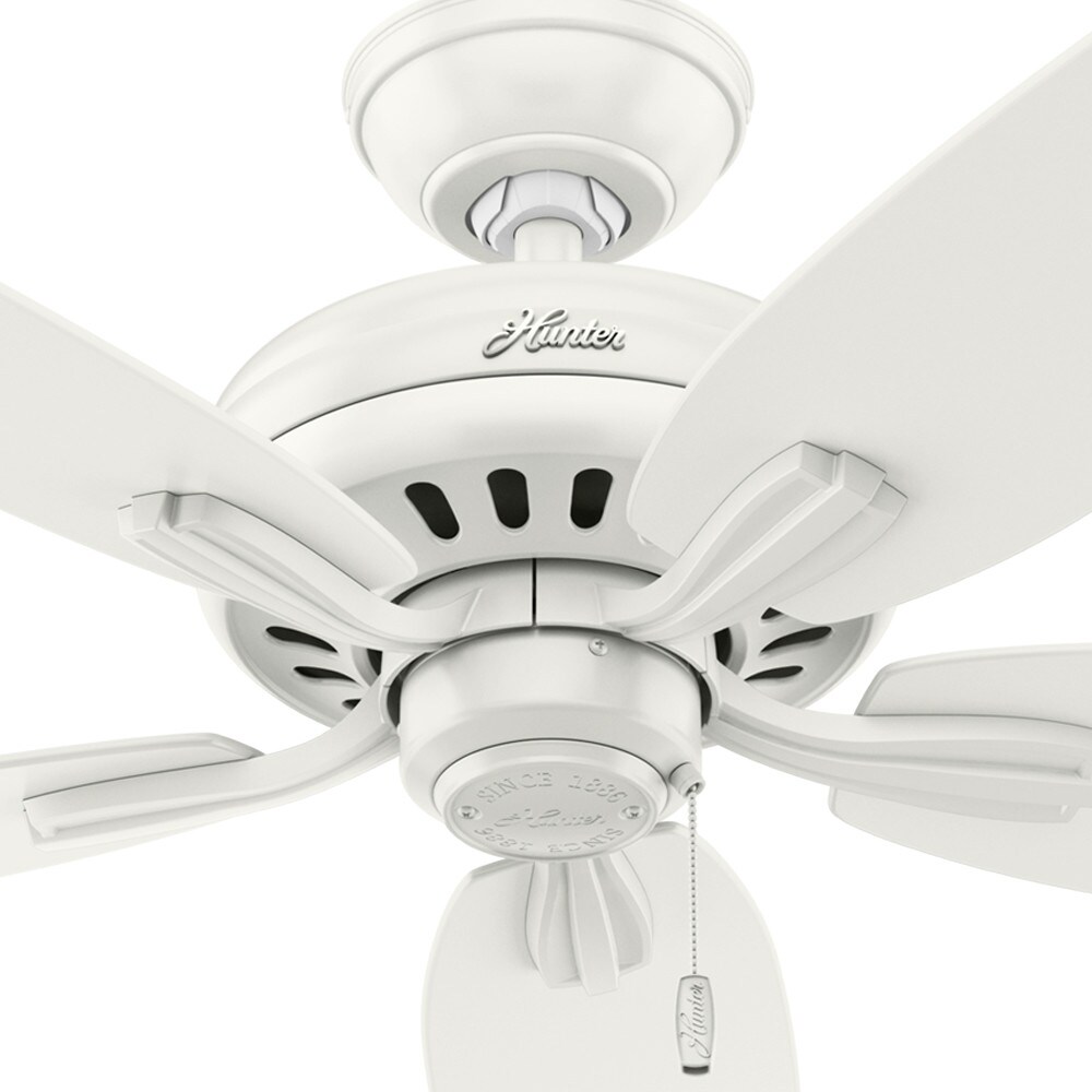 Hunter 53319 Ceiling-Fans - View #7