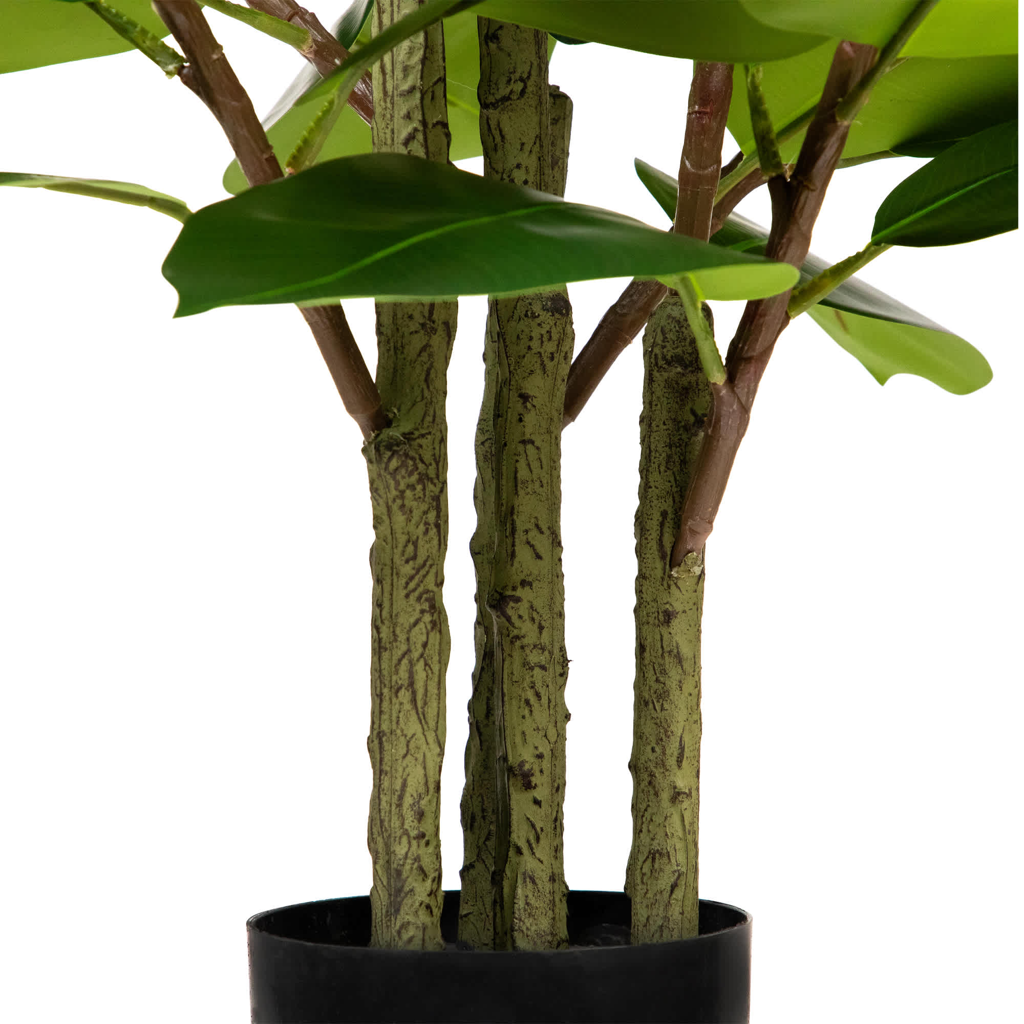Northlight NORTHLIGHT SM97479 Artificial-Plants-Trees - View #7