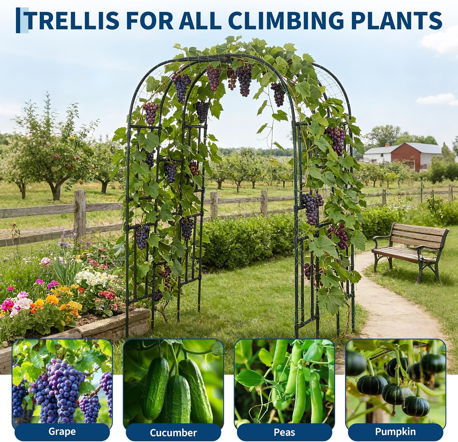 GAOMON Black Carbon Steel Dome Top Grape Arbor Trellis Heavy Duty Metal ...