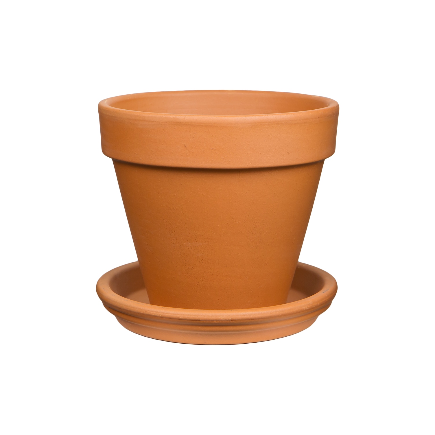 Plant Terracotta 14-in Saucers the Pennington Clay at in department Saucer Plant