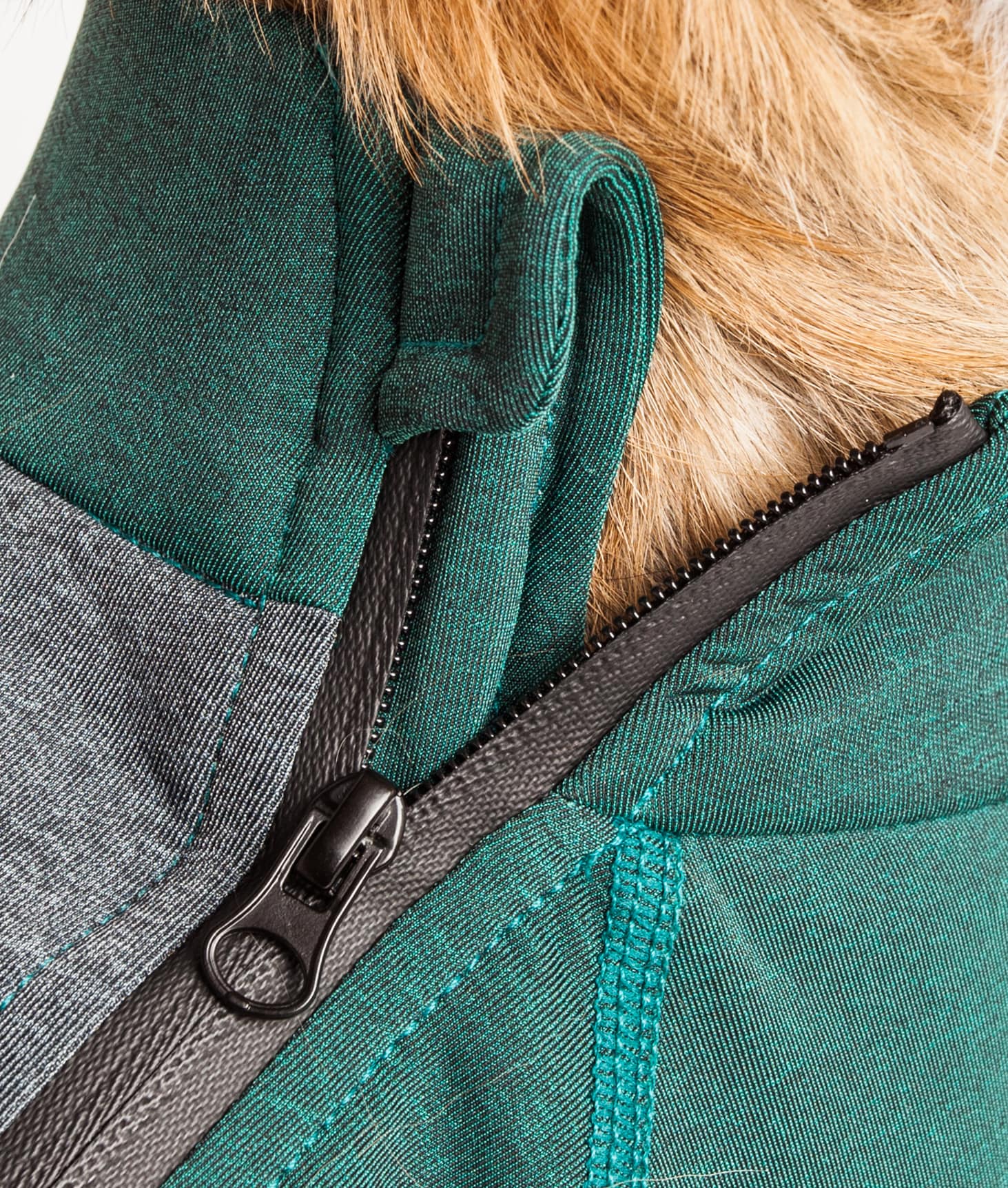 Dog Helios YGHL8GNLG Dog-Apparel - View #9