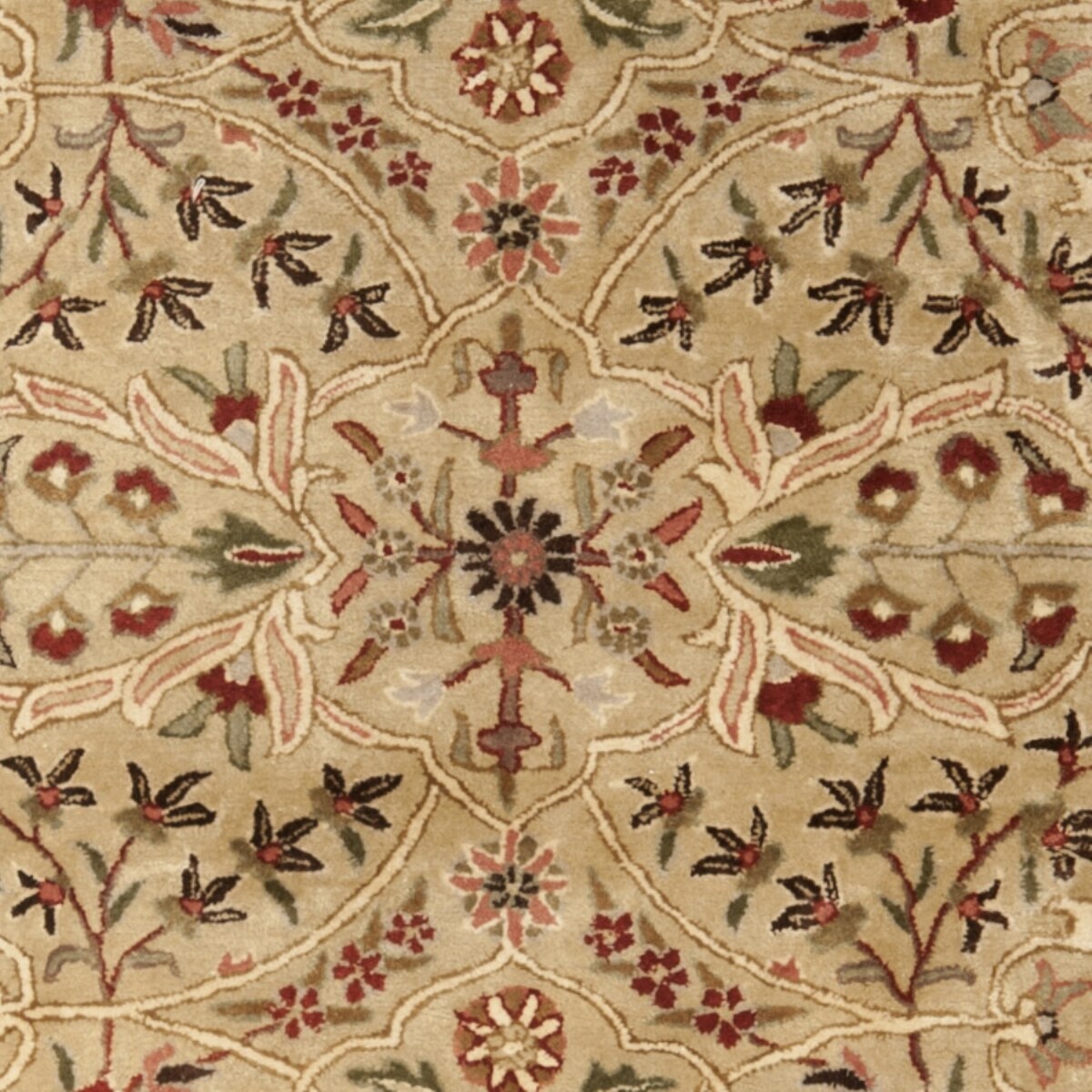 Safavieh PL511A-8  - View #3