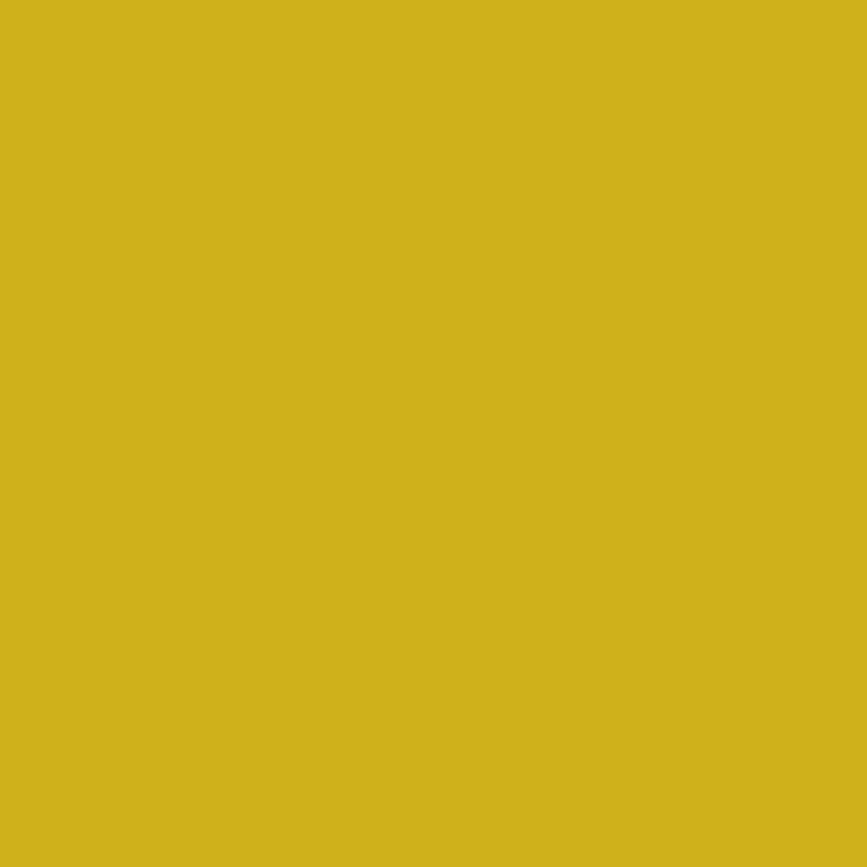 Sunnydaze Decor SNR-276 Curtain-Holdbacks - View #4