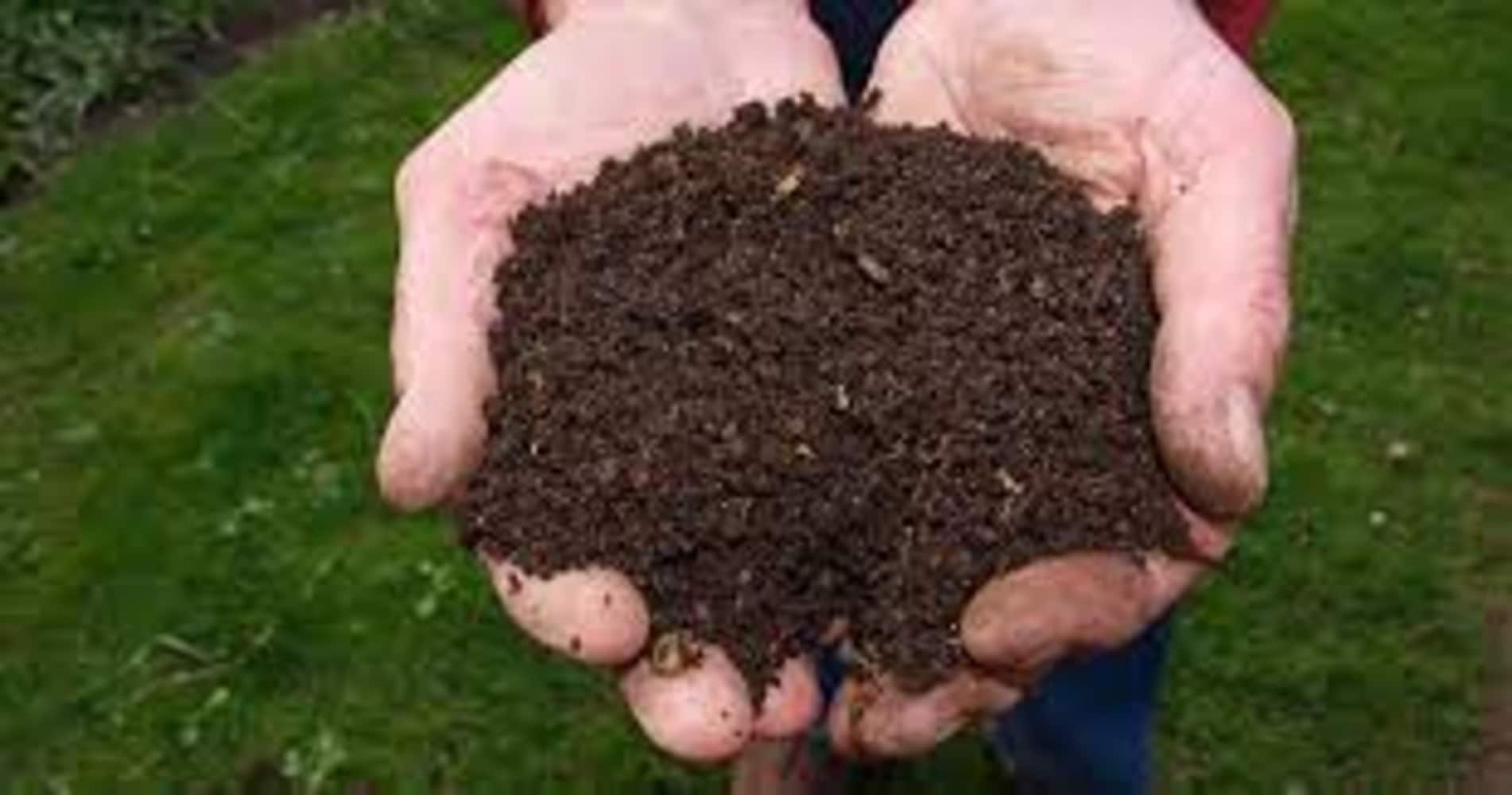  381261 Soil-Conditioner - View #2