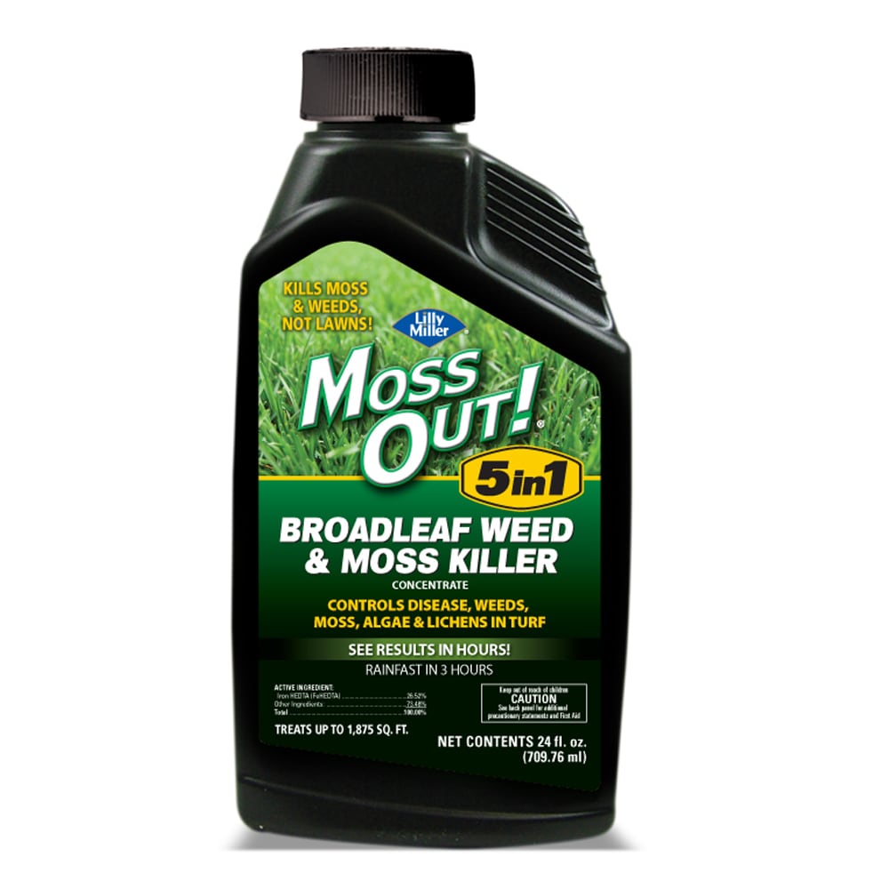 Moss Out! 20 Moss Out! Moss Killer Lawn Granules 100099164 The Home