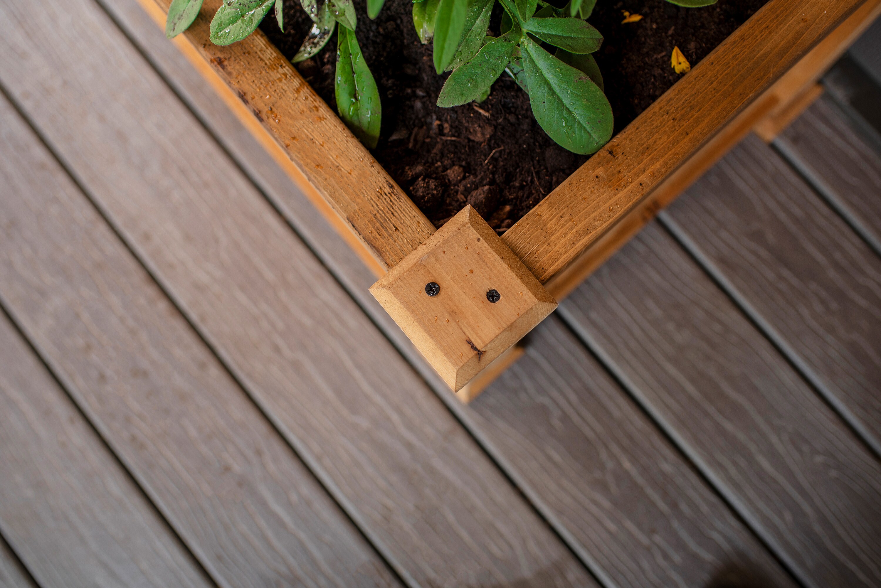 Vita VT17735 Planter-Window-Box - View #8