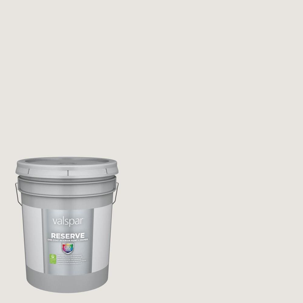 Valspar 7006-17-2916584 Reserve Flat Summer Gray 7006-17 Latex Interior Paint Paint + Primer ( 5-gallon )
