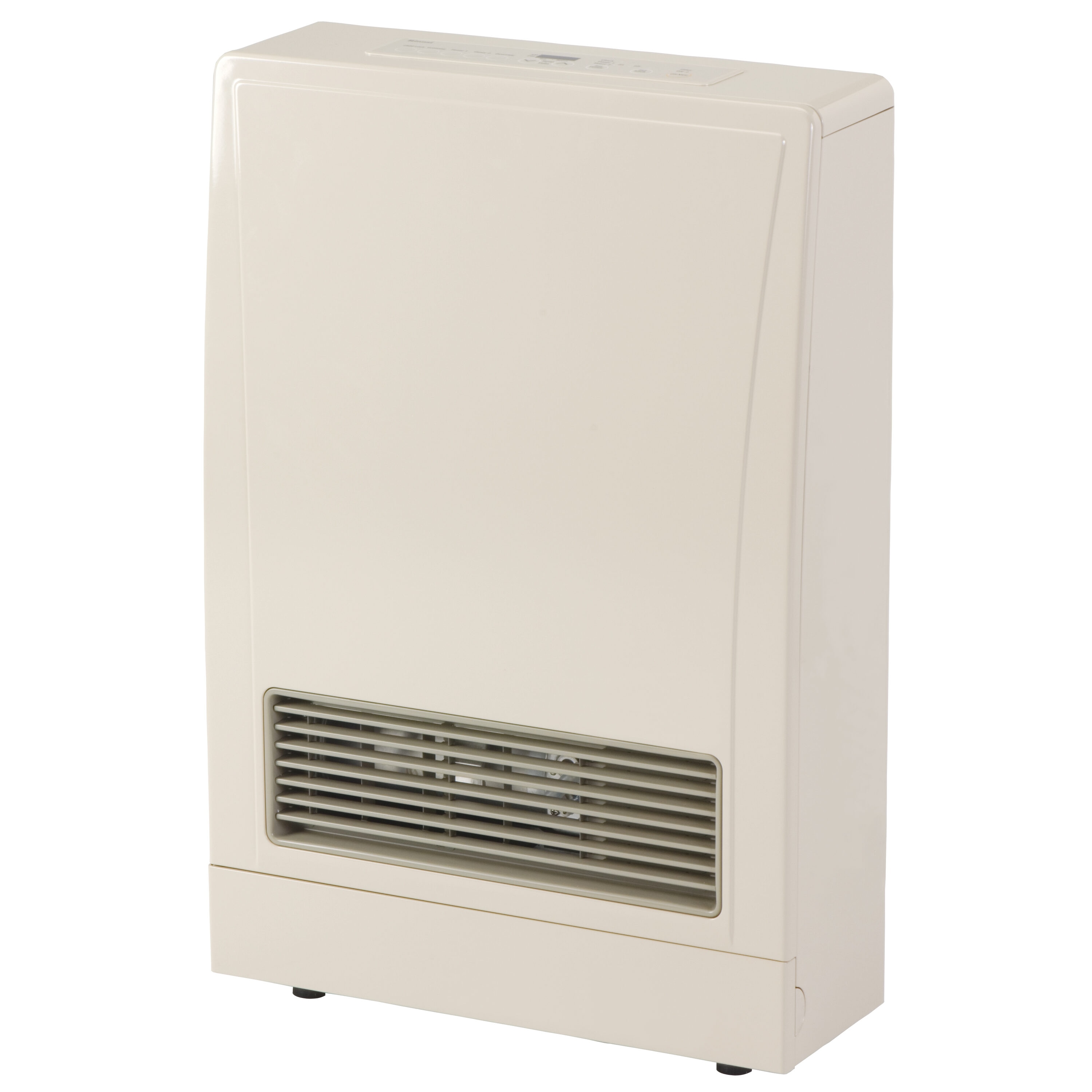 Rinnai Natural gas Gas Heaters at Lowes.com