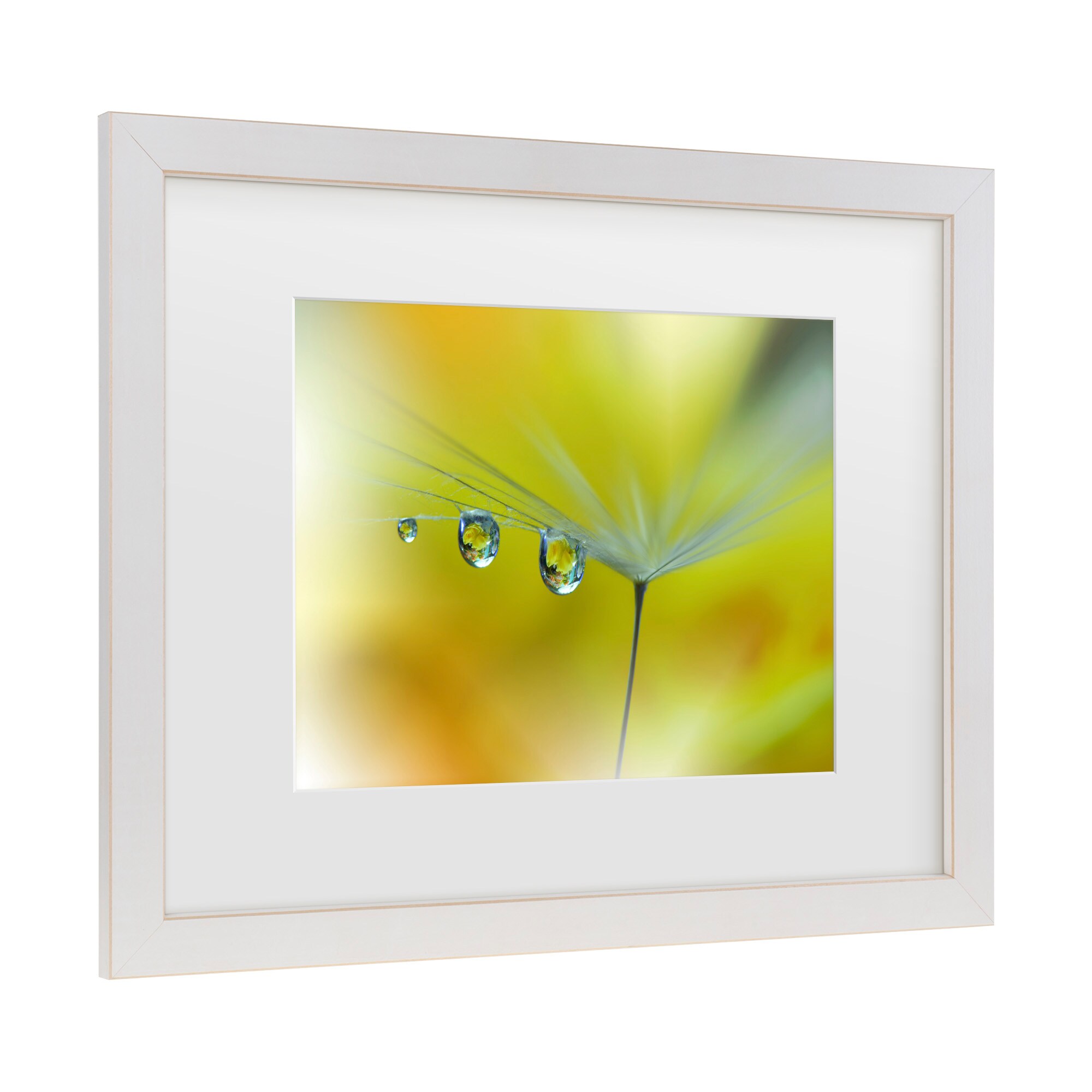 Trademark Fine Art 1X10921-E1620MF Wall-Art - View #3