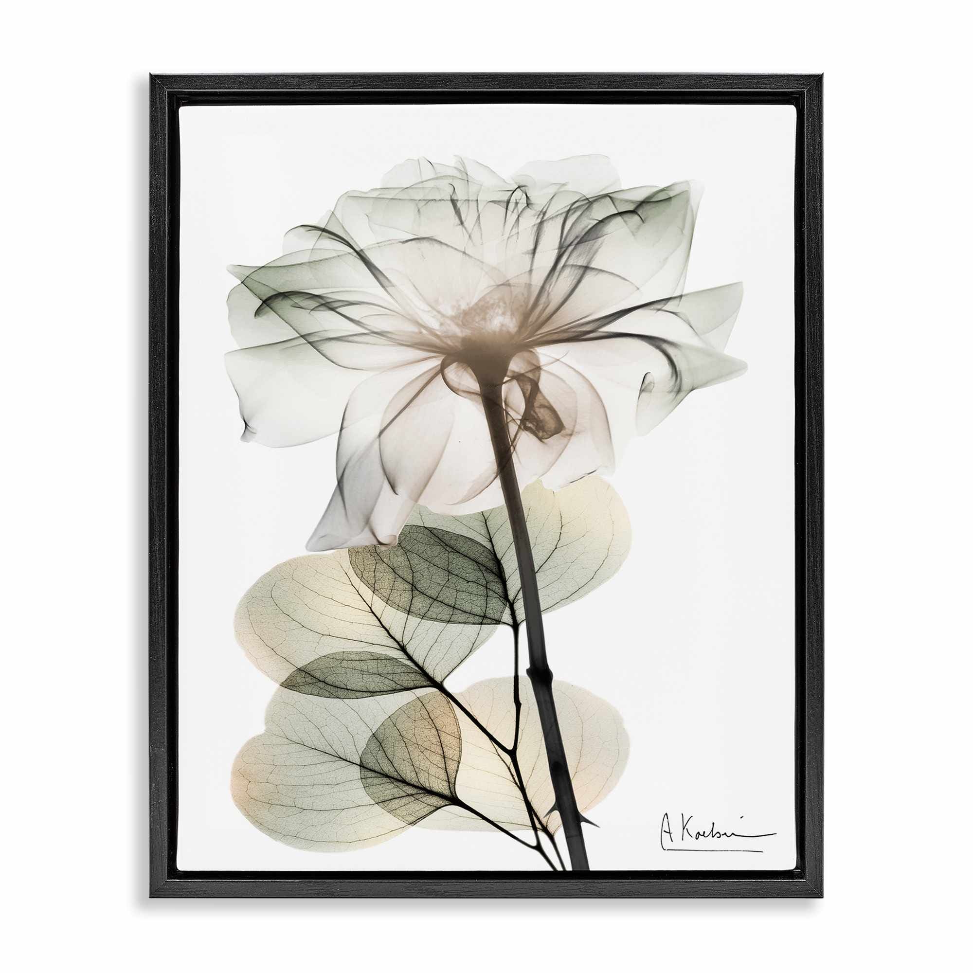 Stupell Industries BS-011-FFB-24X30 Modern Minimalist Buds Black Framed Floater Canvas Wall Art By Albert Koetsier 25 x 31