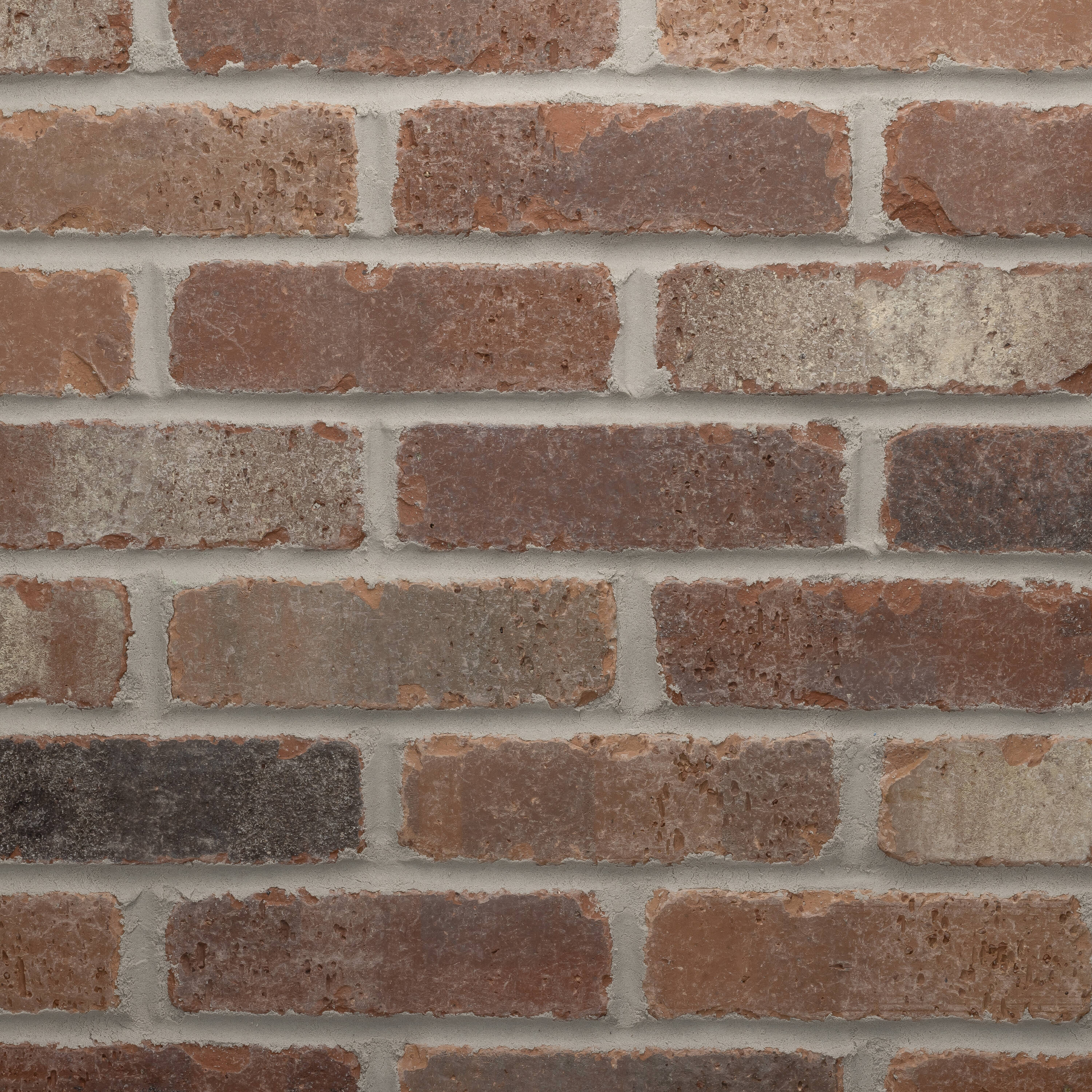 Old Mill Thin Brick Systems Old Mill Brick 2.25-in x 7.625-in ...