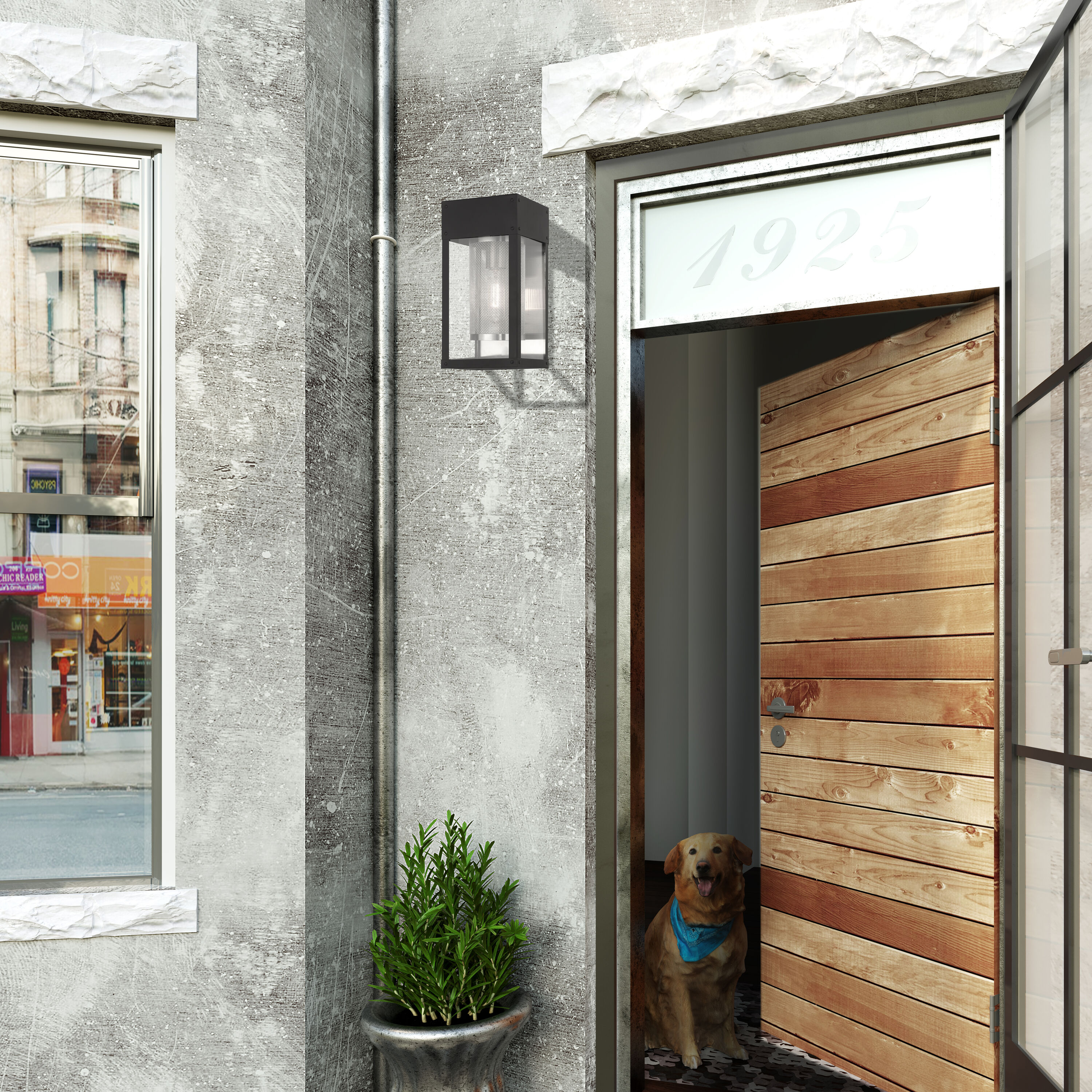 Franklin Black Stainless Steel Outdoor Lantern Wall Light