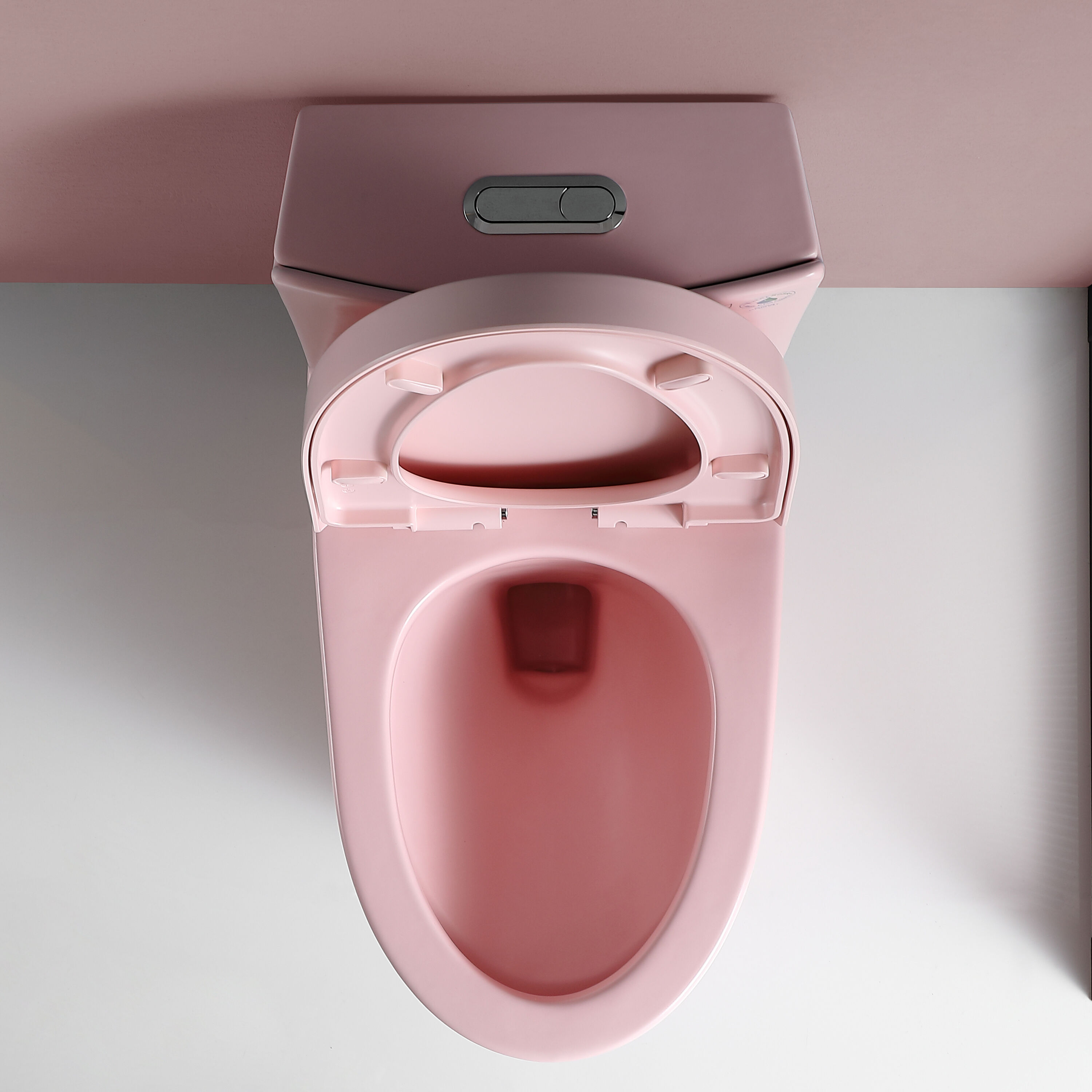 WELLFOR GIJ-TOL23T01-RS toilets - View #2