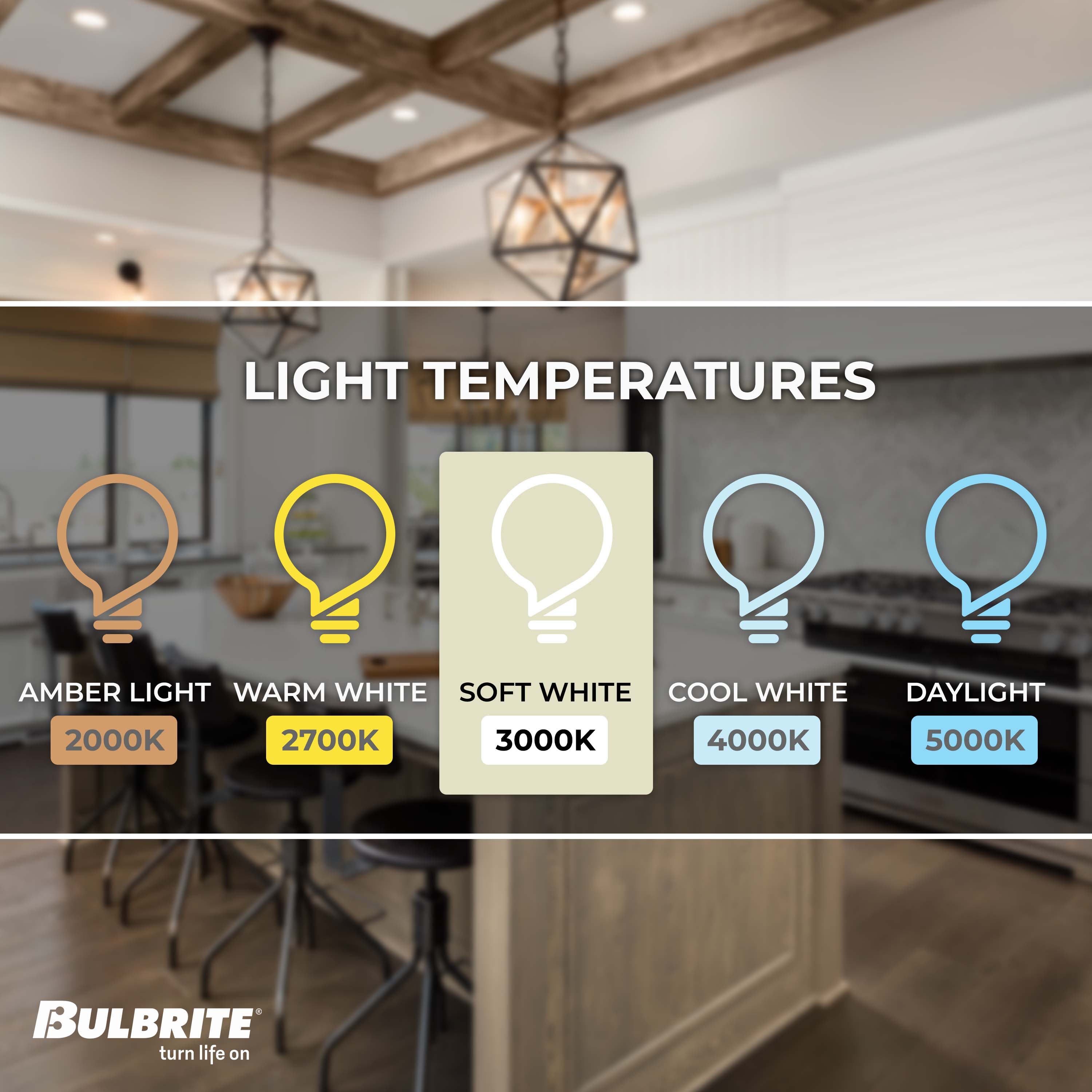 Bulbrite 861993 Specialty-Light-Bulbs - View #4