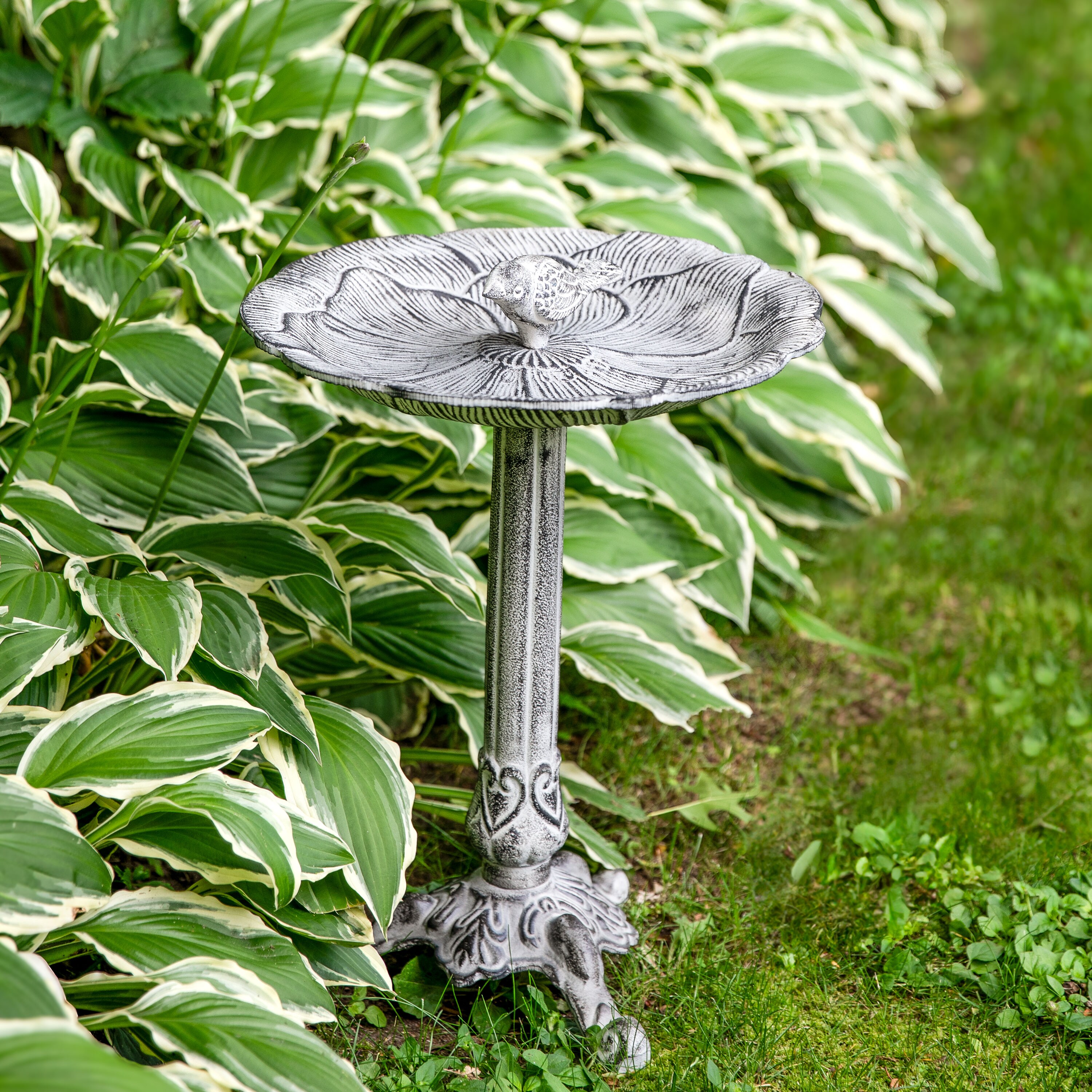 Antique Gray Cast Aluminum Bird Bath with Blossom Motif